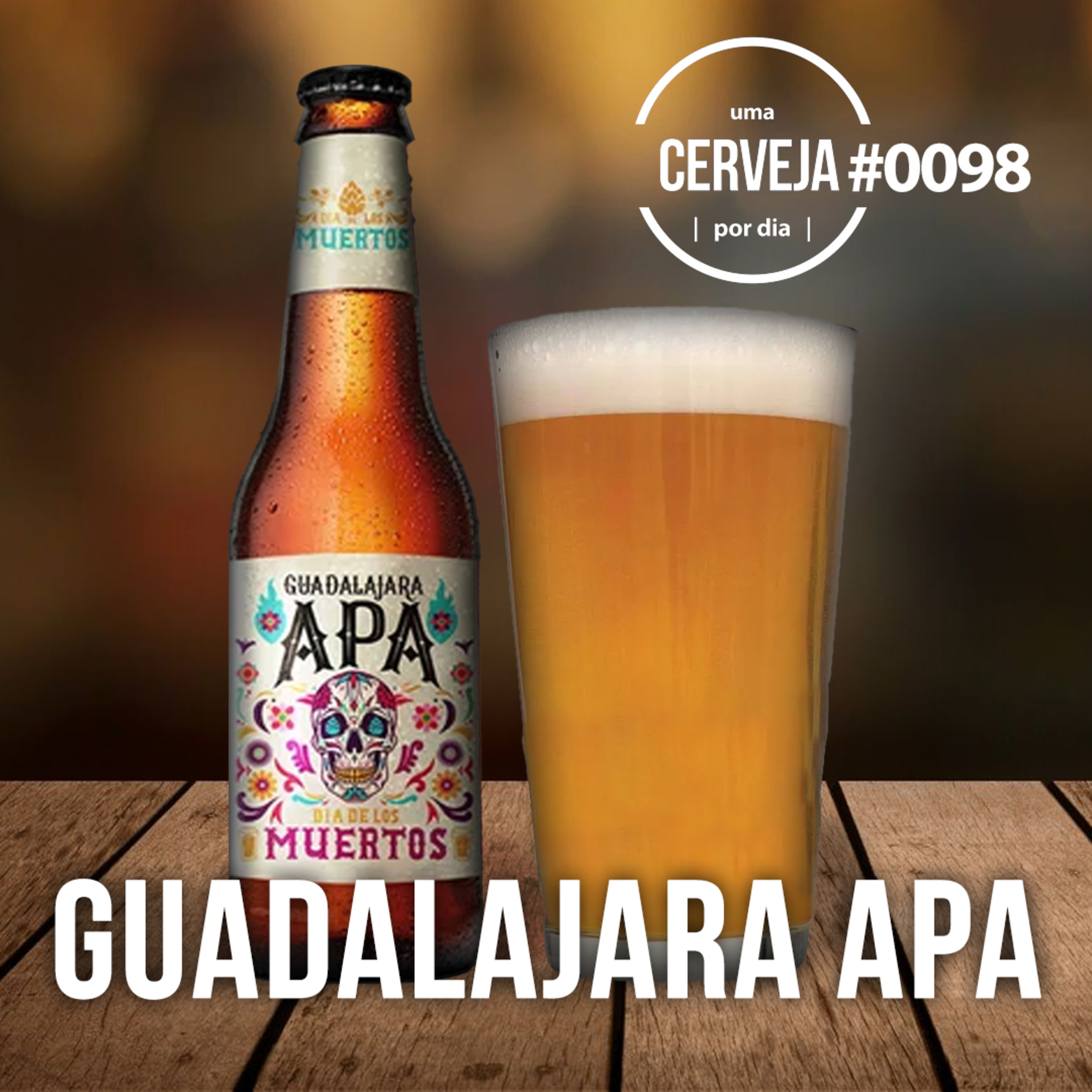 Uma Cerveja Por Dia