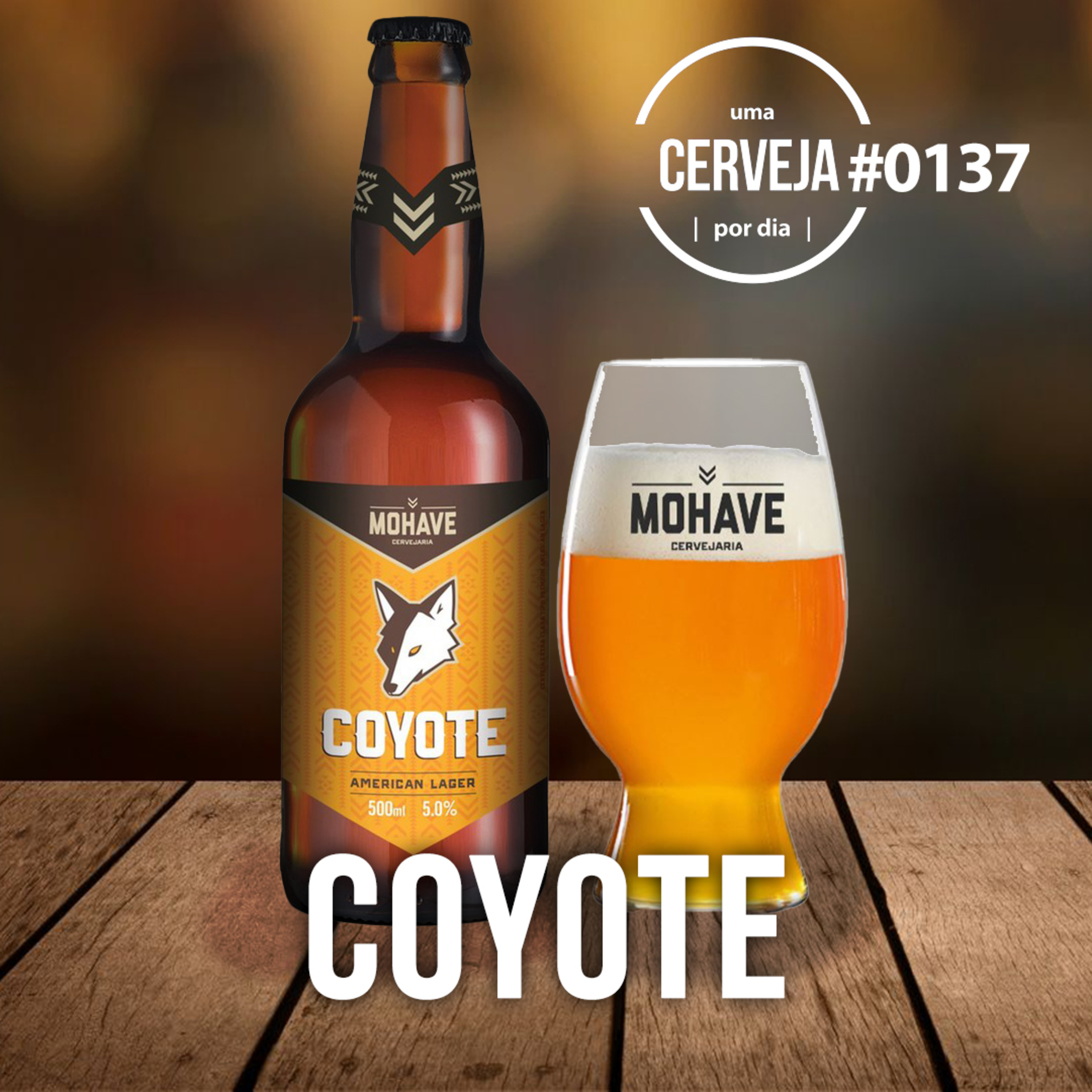 Uma Cerveja Por Dia