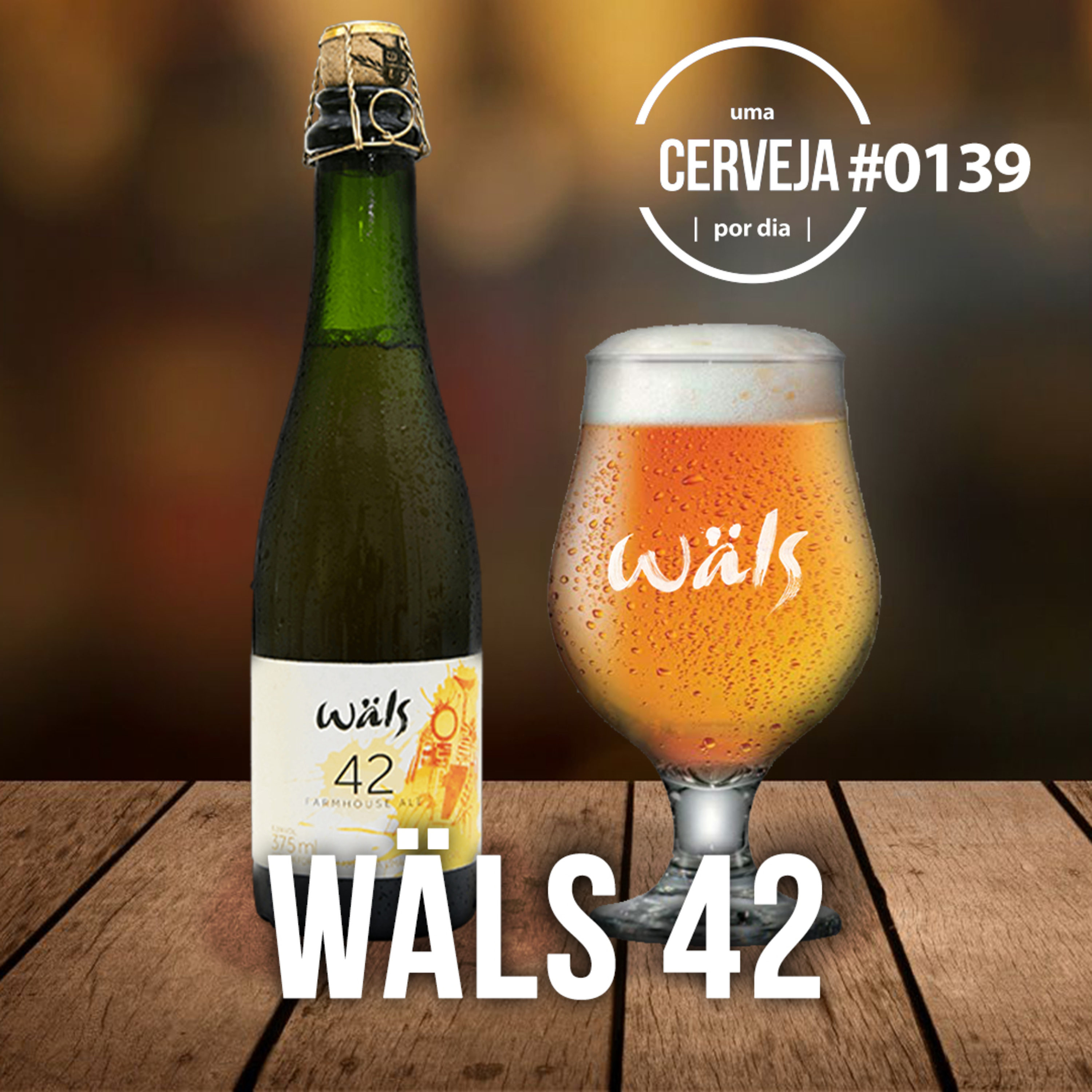 Uma Cerveja Por Dia