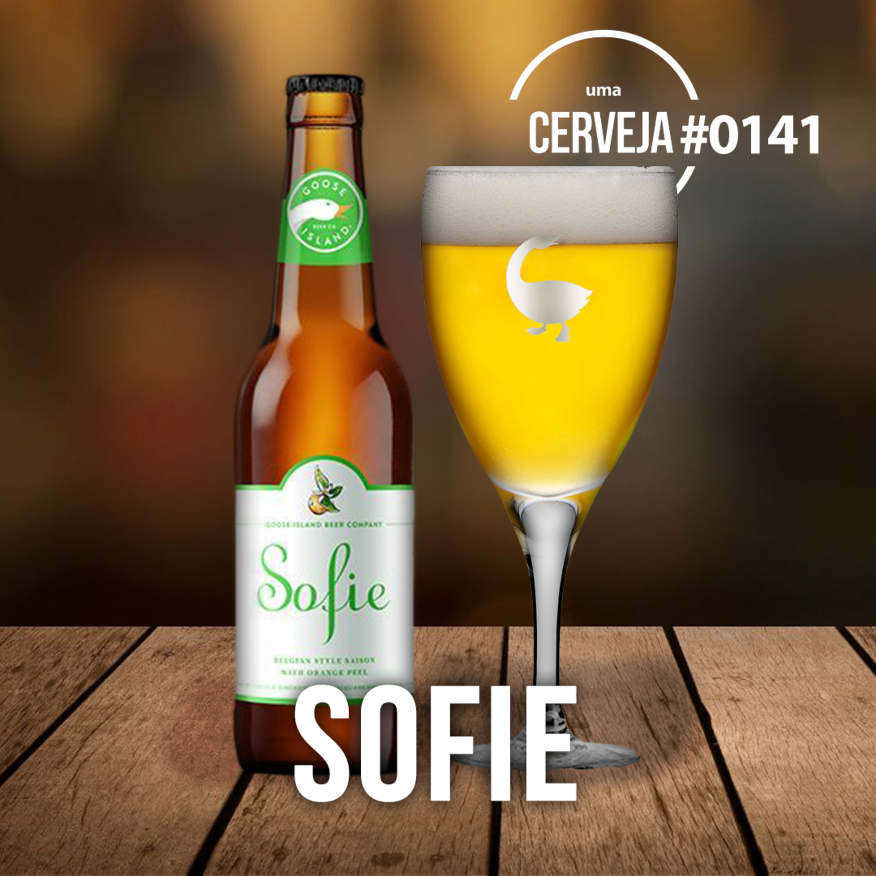 Uma Cerveja Por Dia