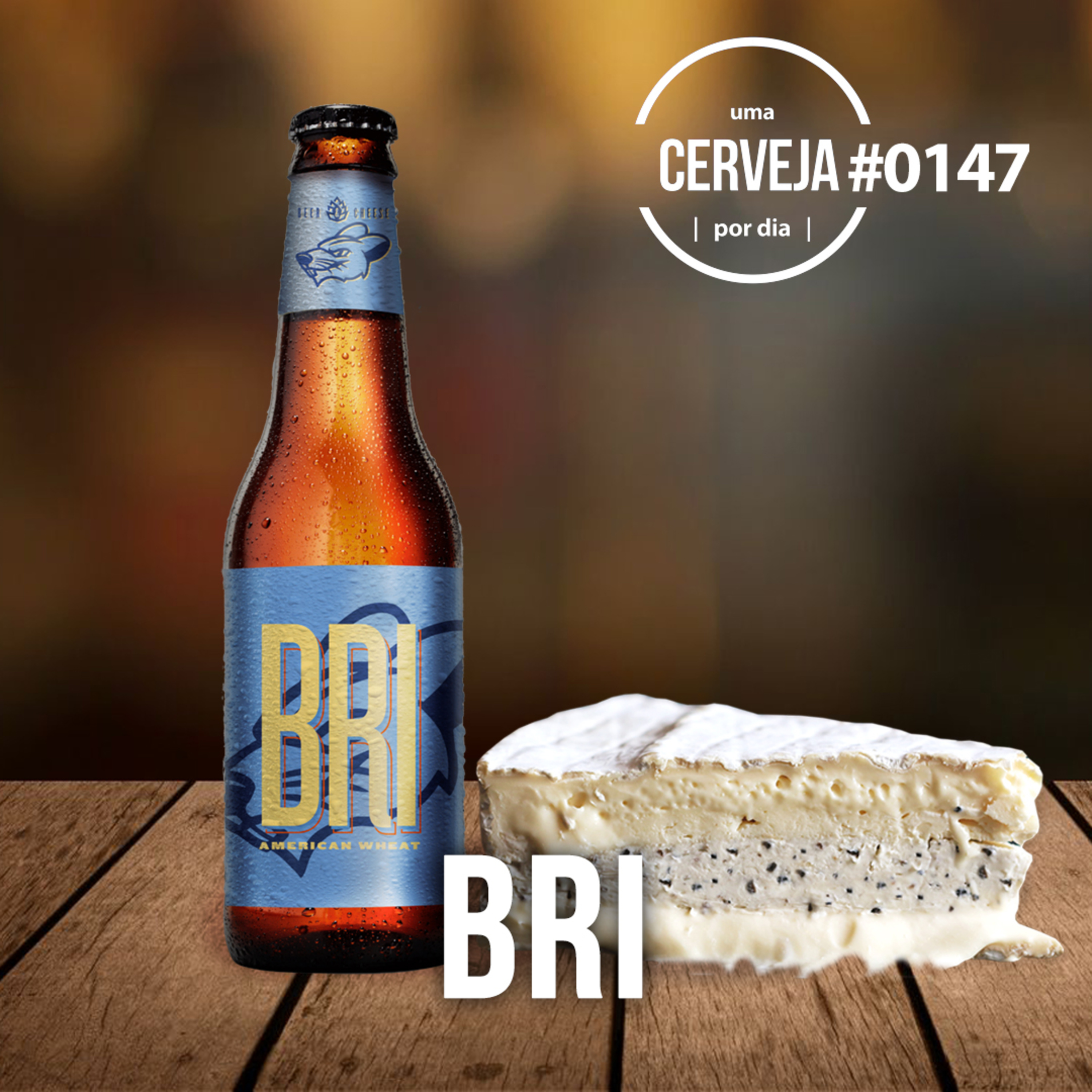 Uma Cerveja Por Dia