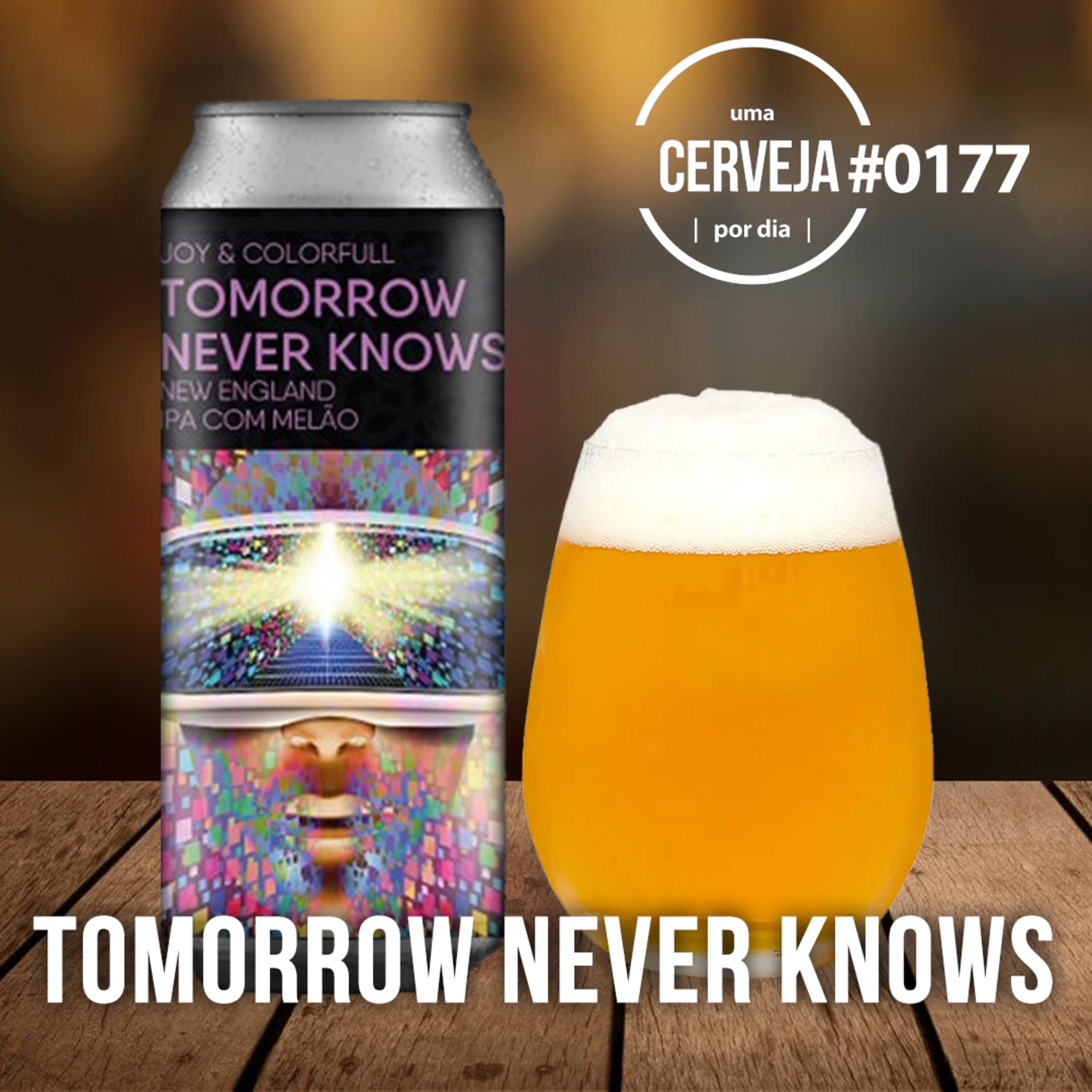 Uma Cerveja Por Dia