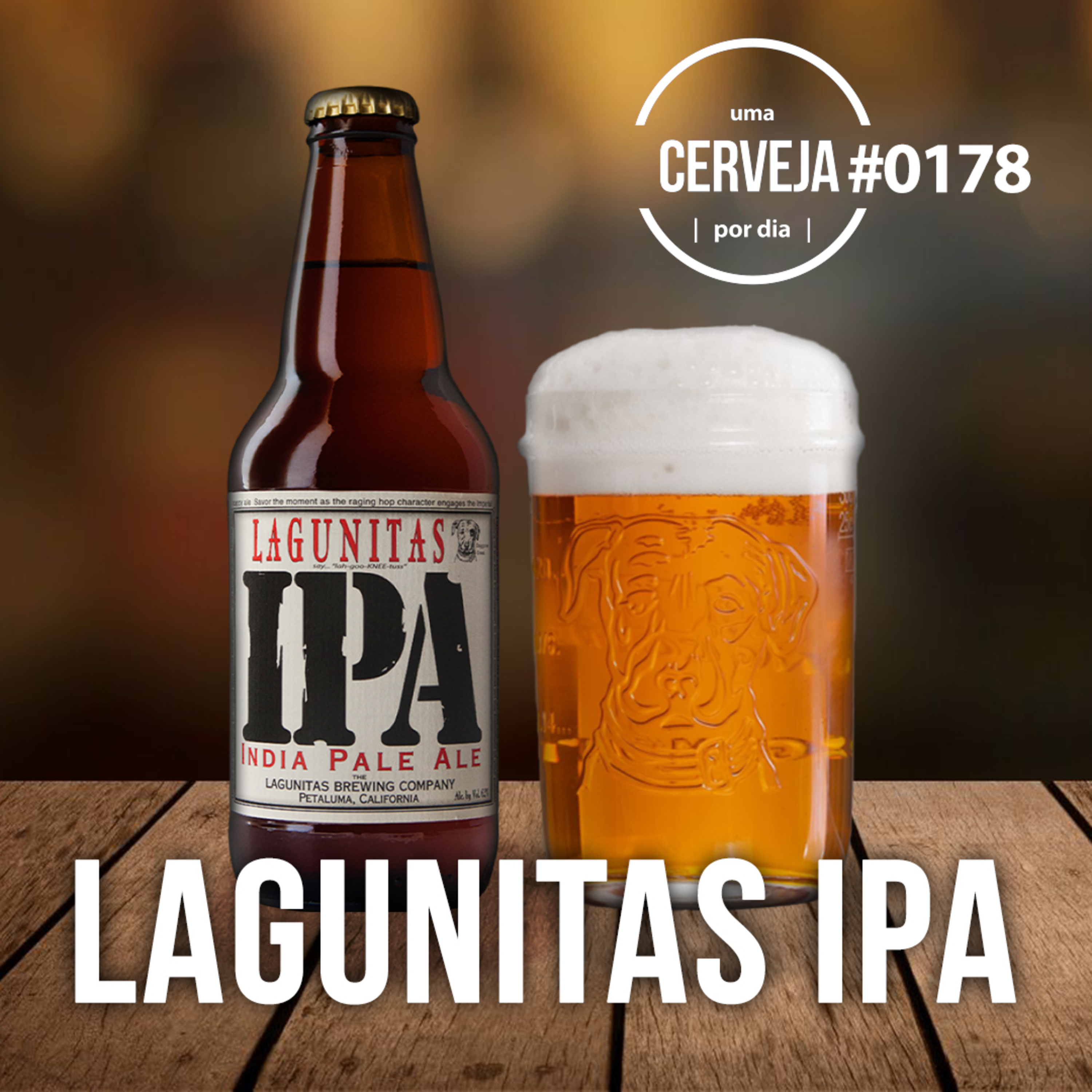 Uma Cerveja Por Dia