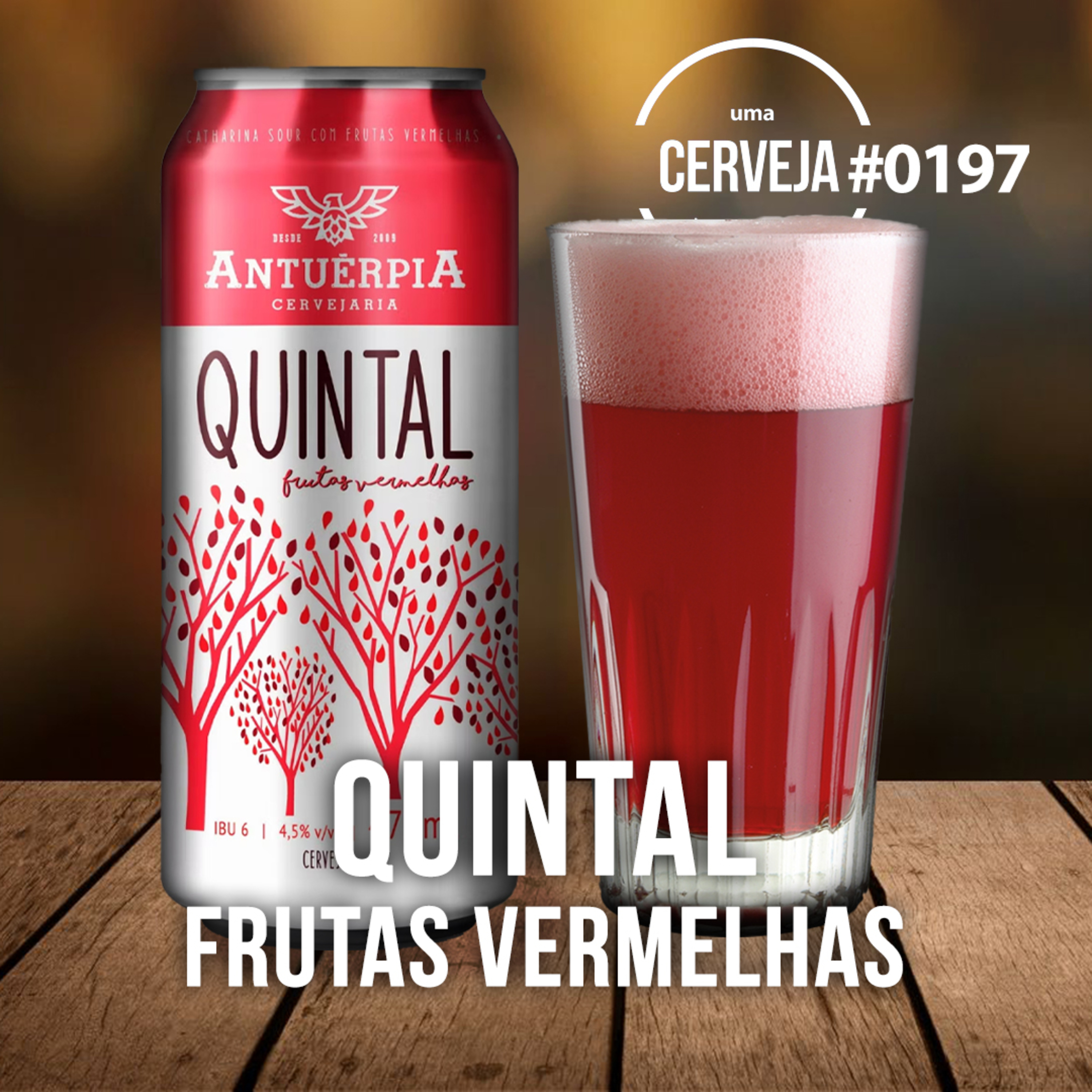 Uma Cerveja Por Dia