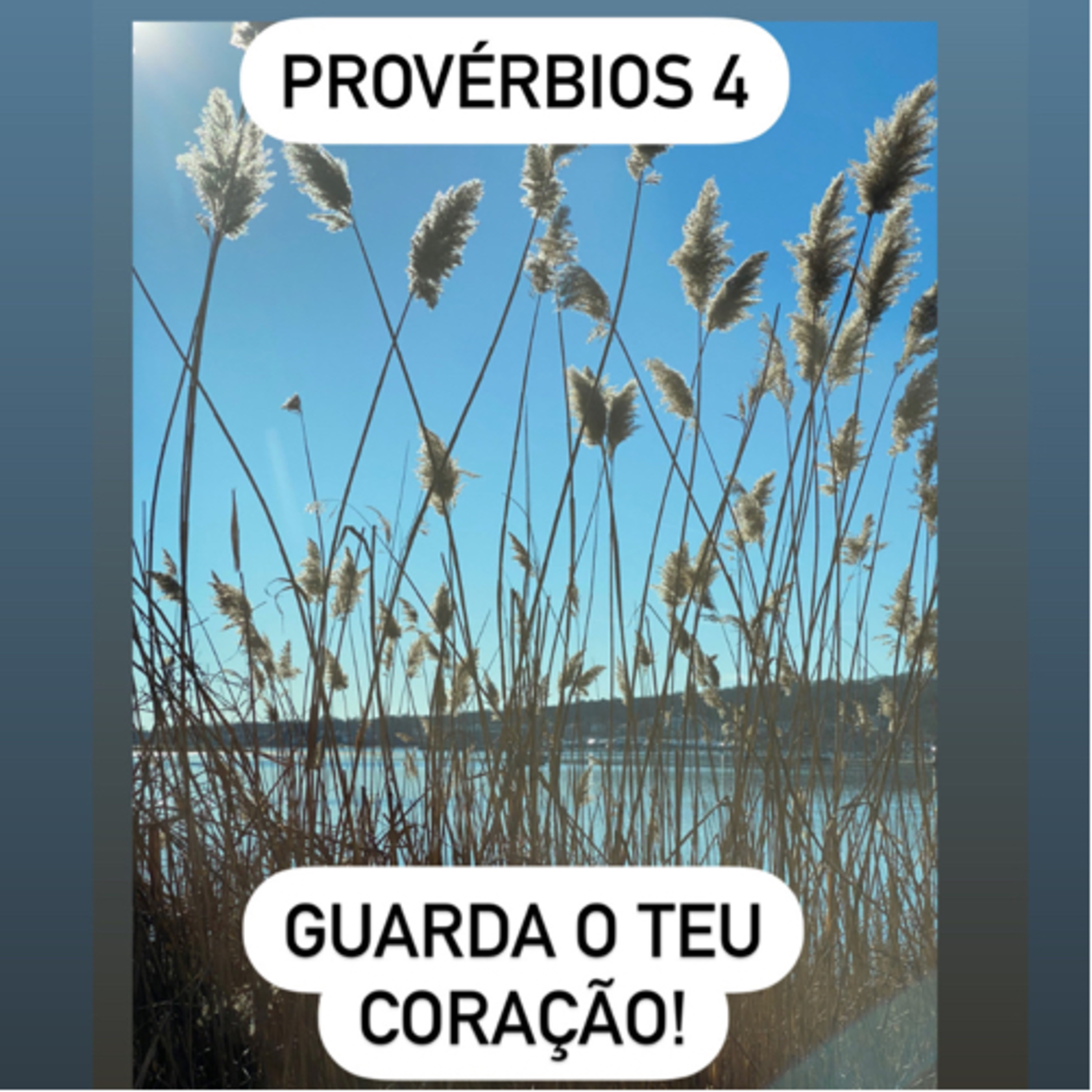 Provérbios 4 episode artwork