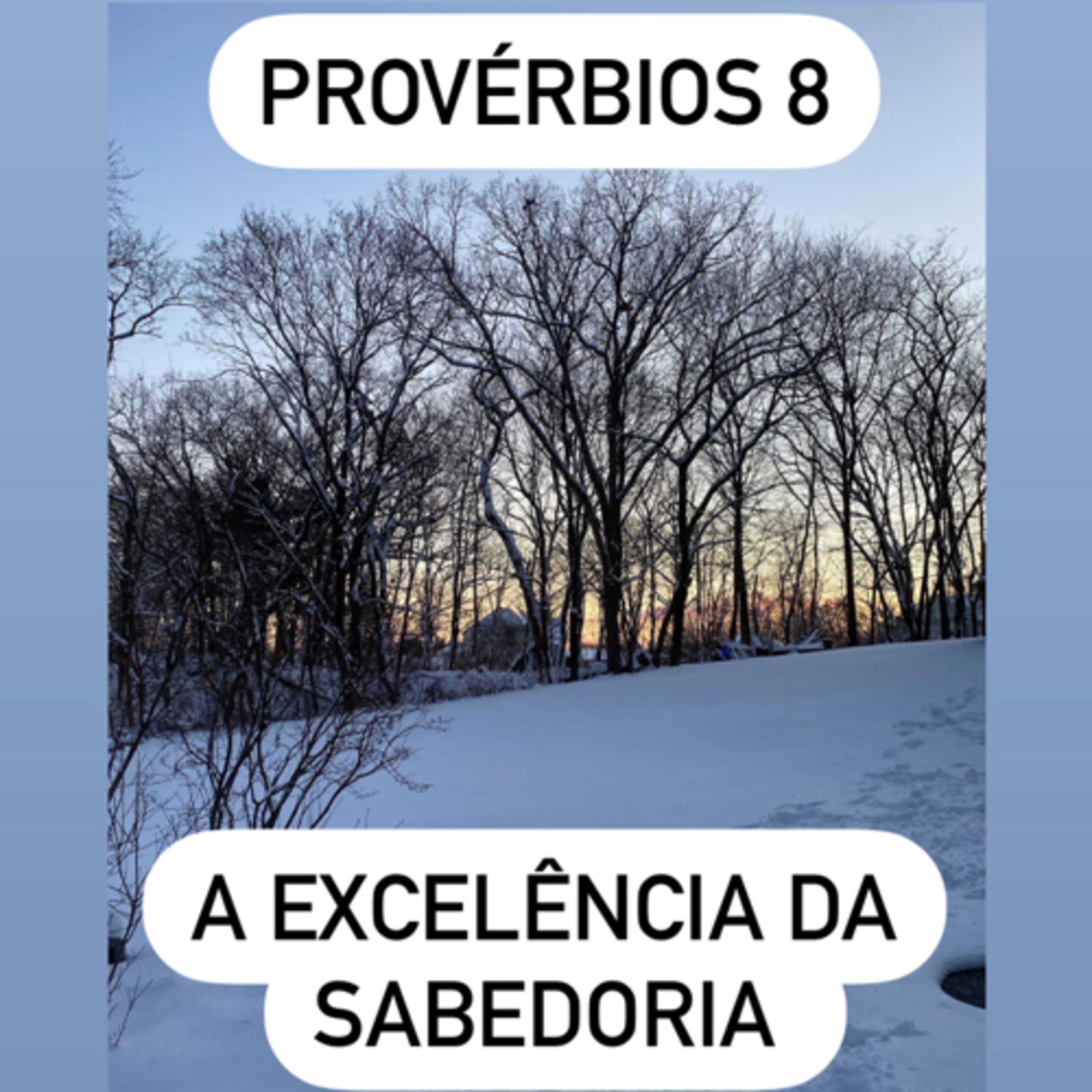 Provérbios 8 episode artwork