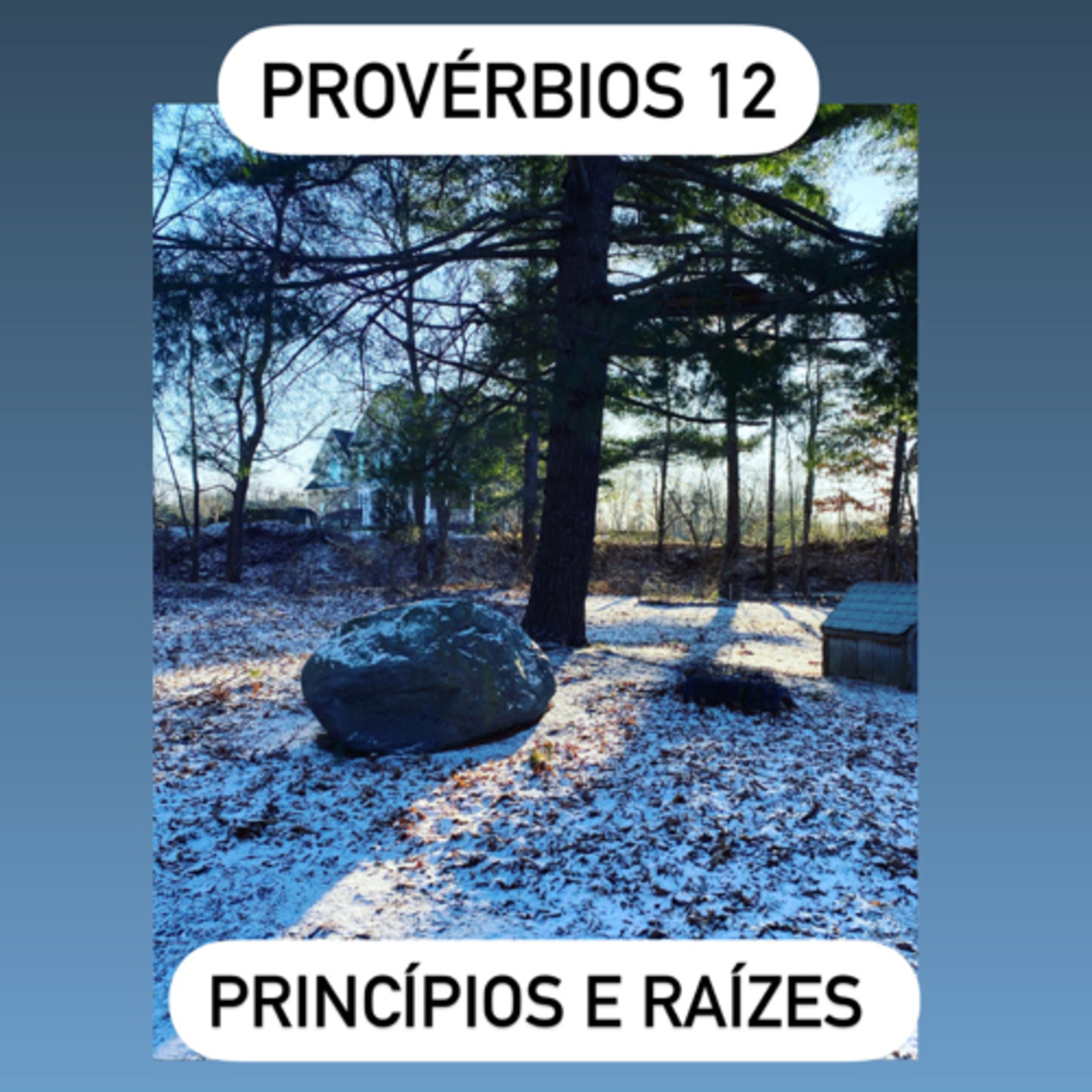 Provérbios 12 episode artwork