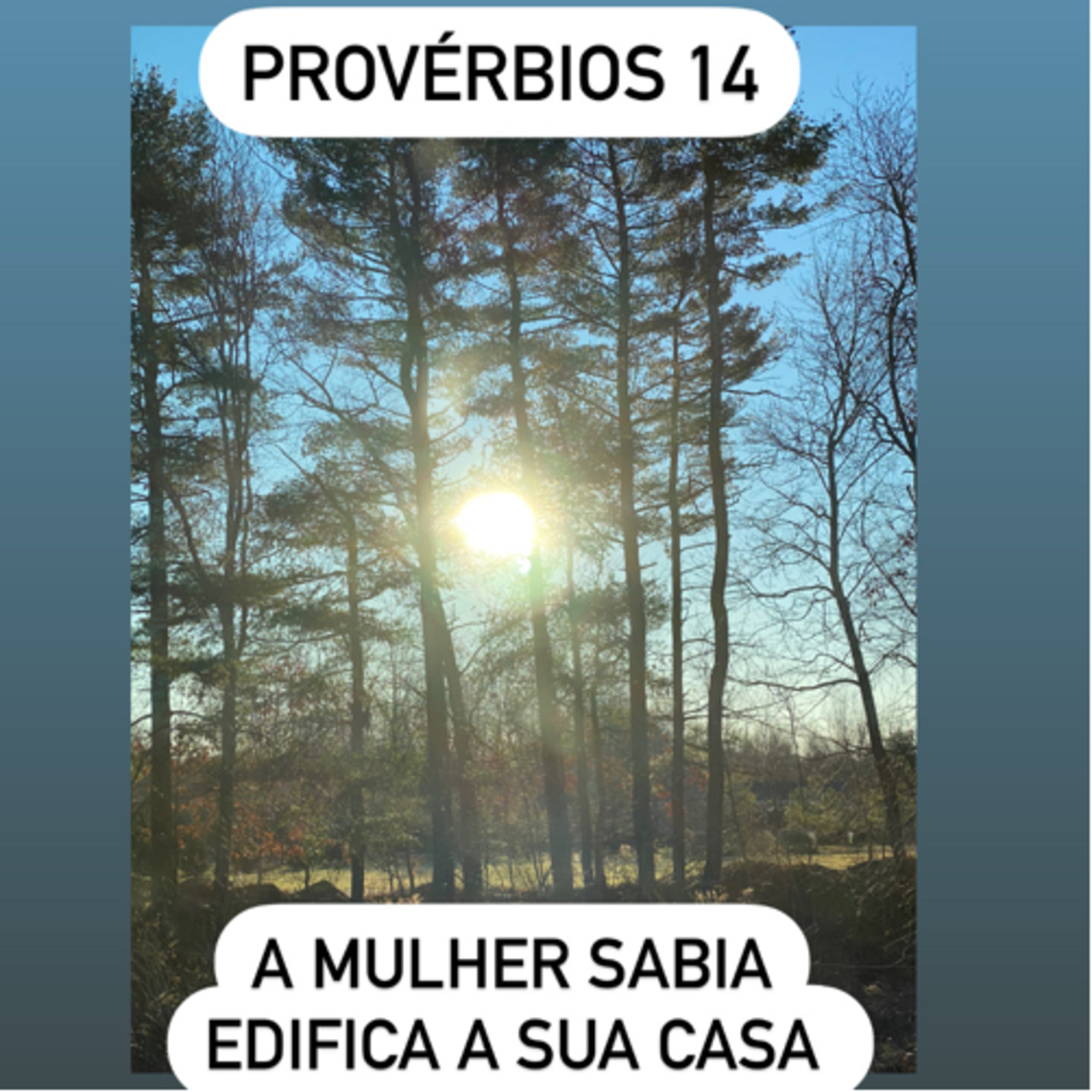 Provérbios 14 episode artwork