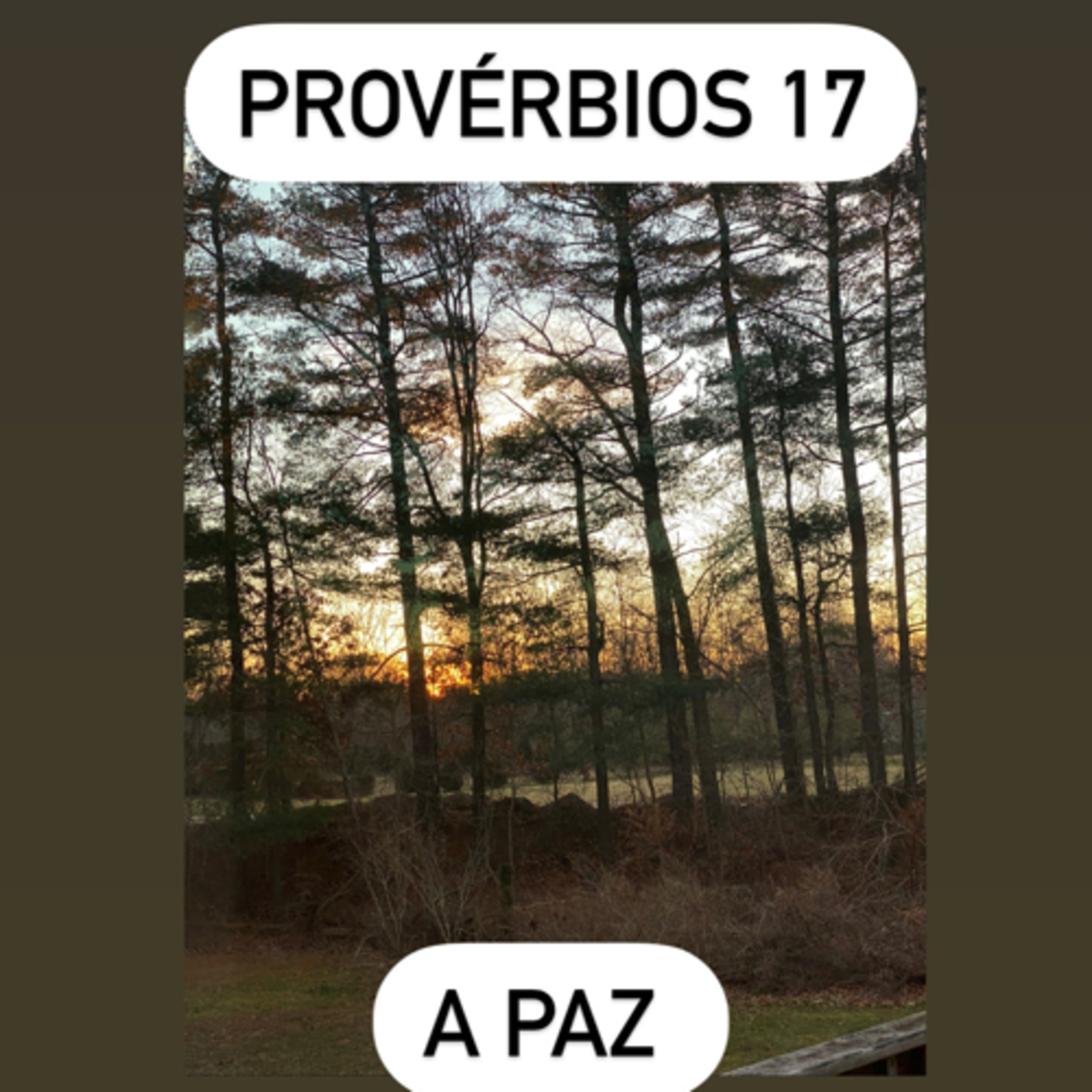 Provérbios 17 episode artwork