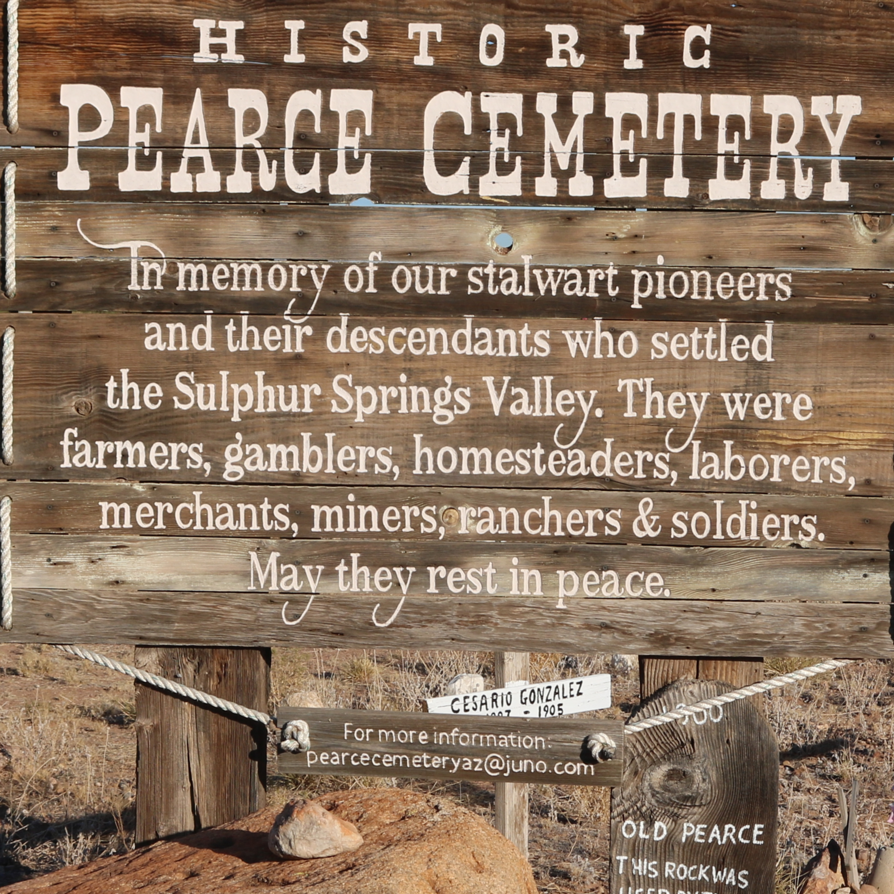 Arizona Timeless Tourist