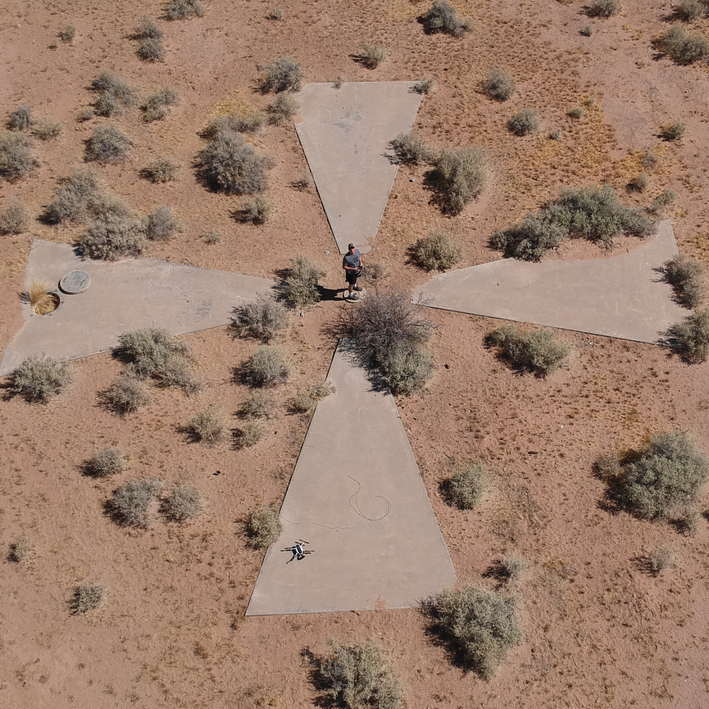 Arizona Timeless Tourist