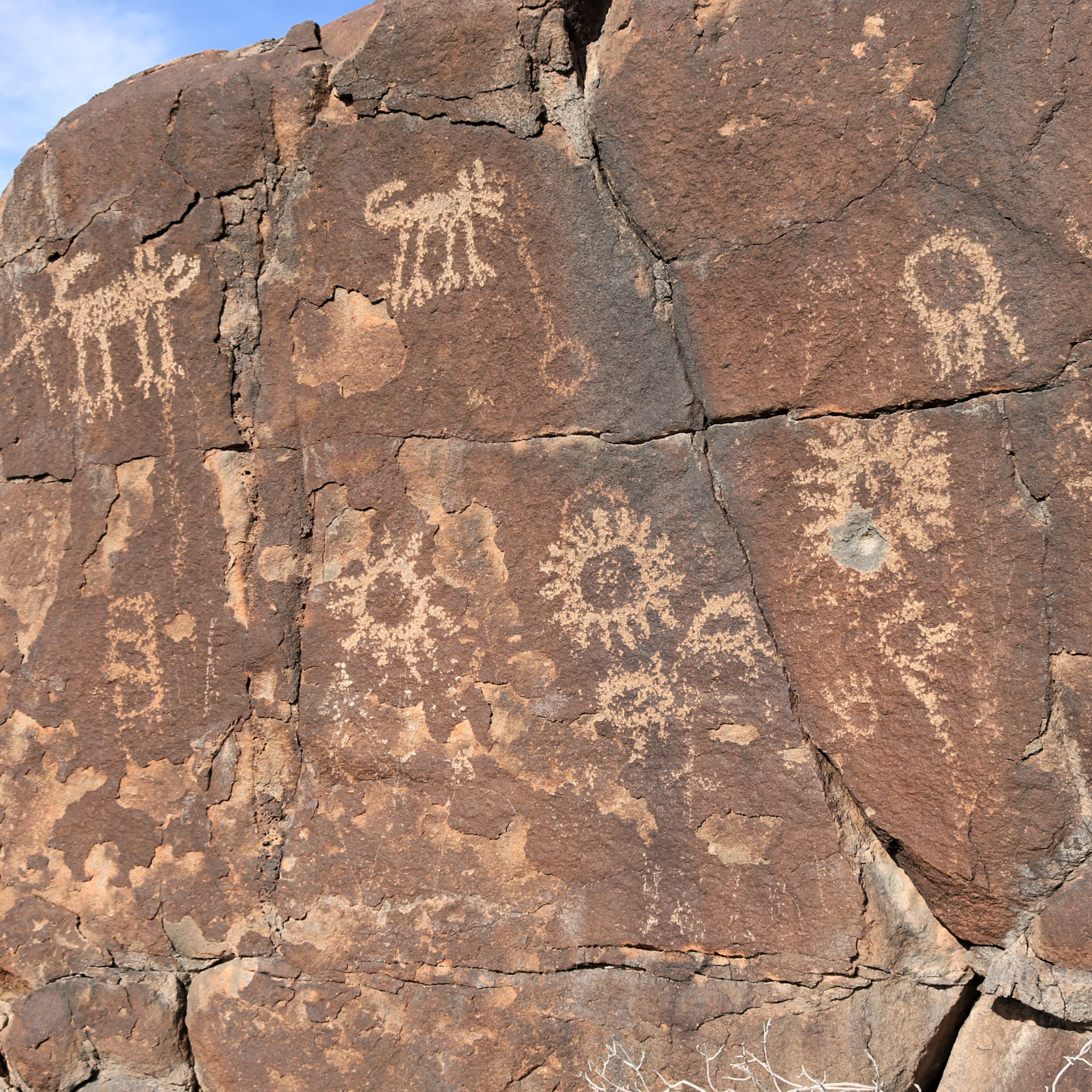 Arizona Timeless Tourist