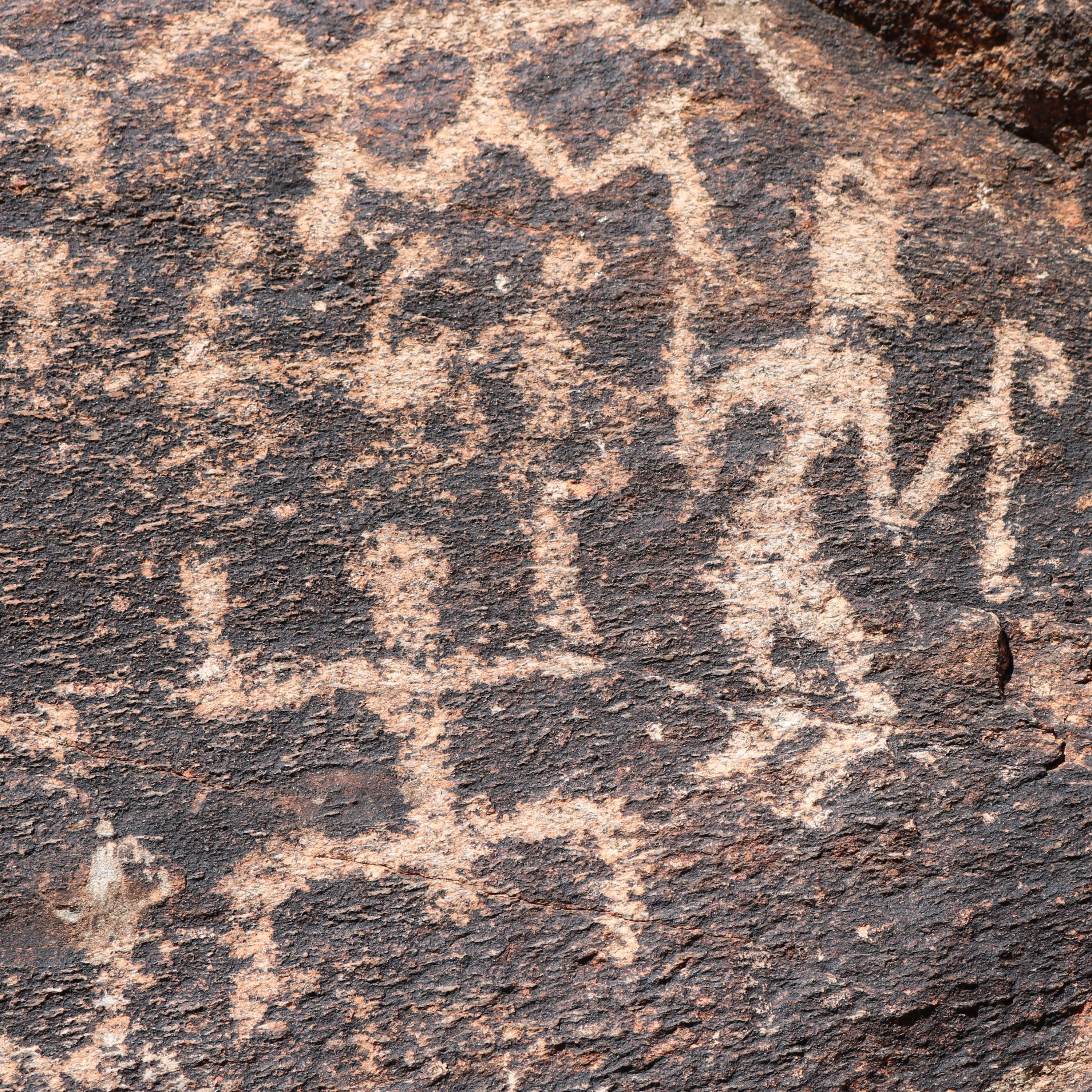 Arizona Timeless Tourist