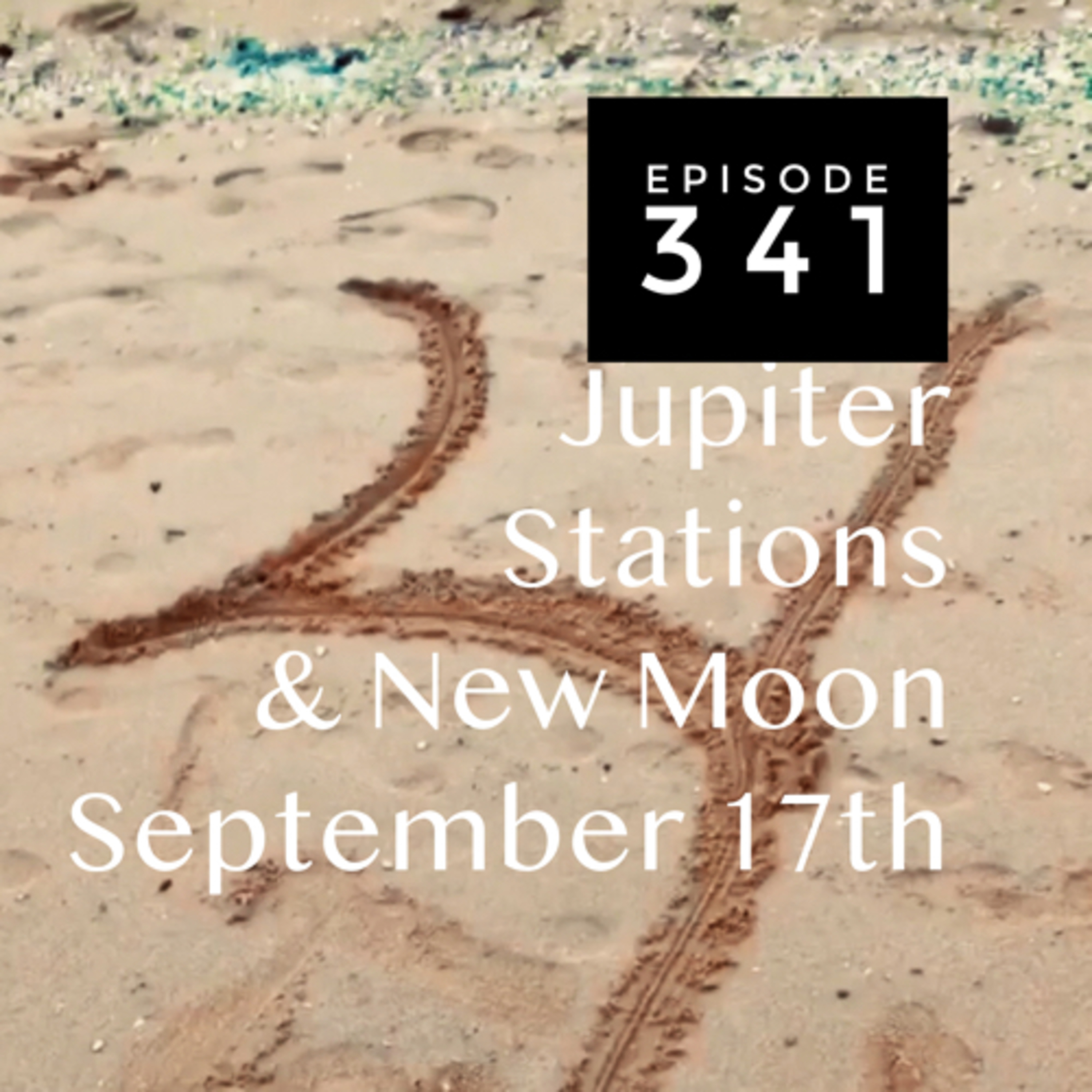 This special New Moon episode 341 is abundant with inspirational advice for Light- workers episode artwork