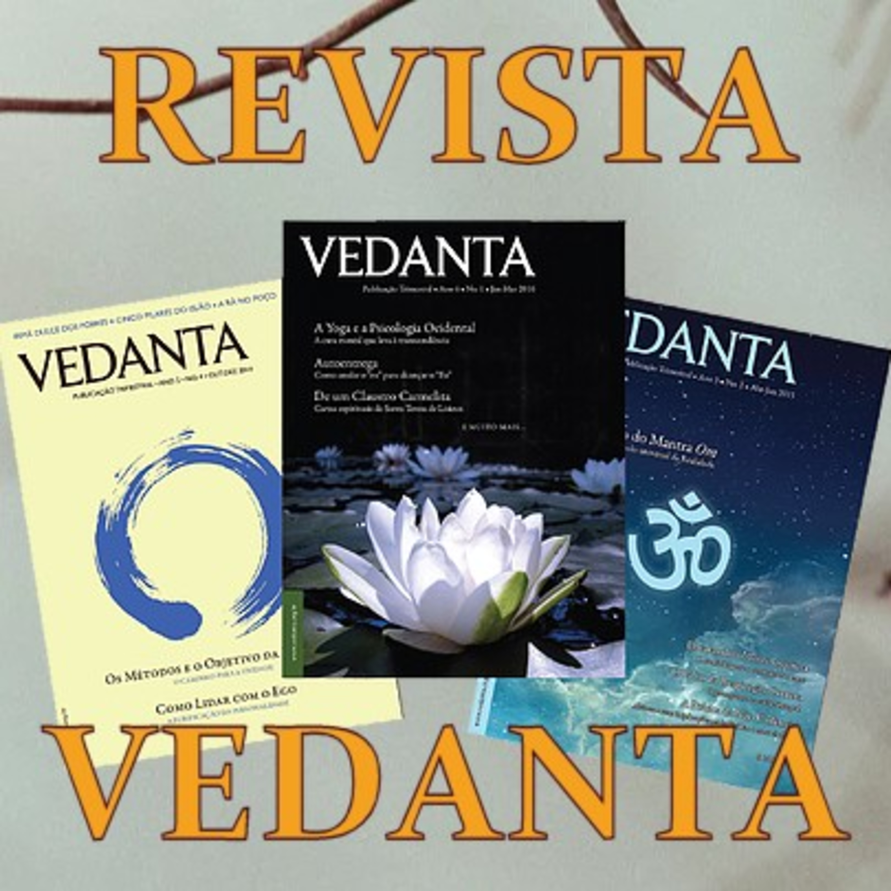 A prática de Ahimsa episode artwork
