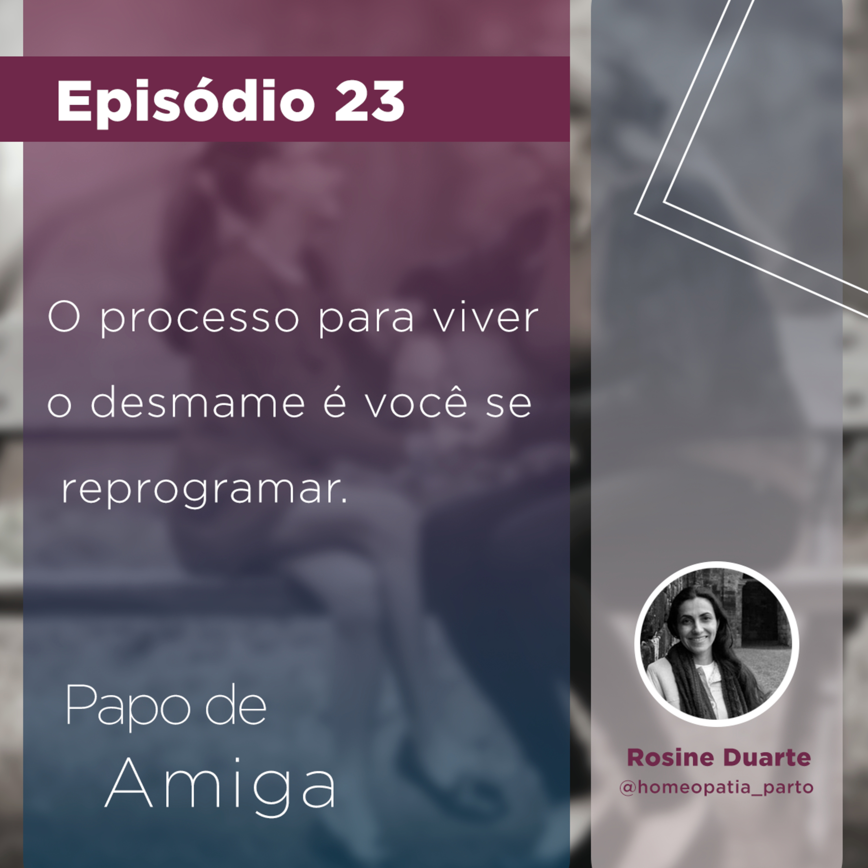 # 23 - Desmame