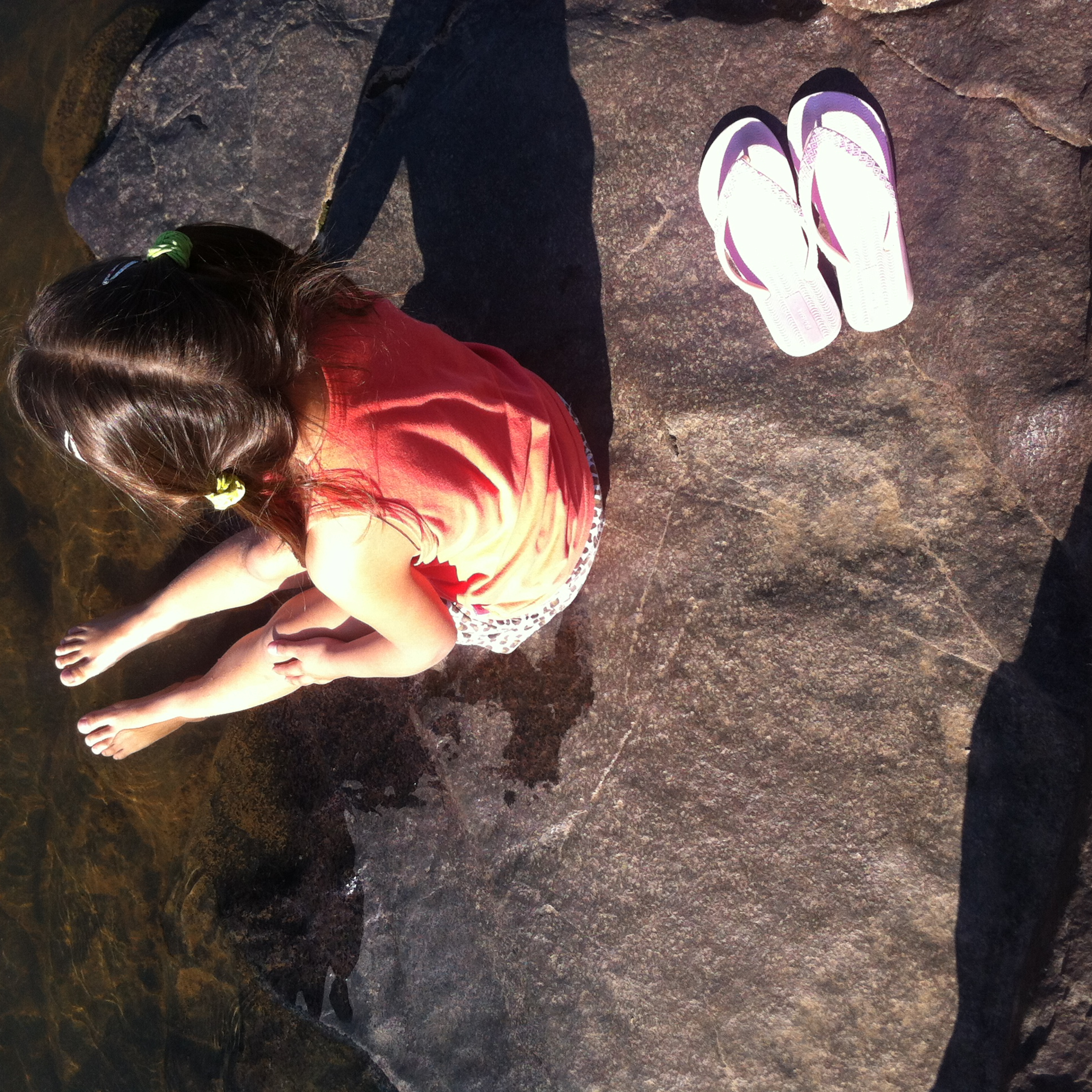 Vários tipos de alimentos