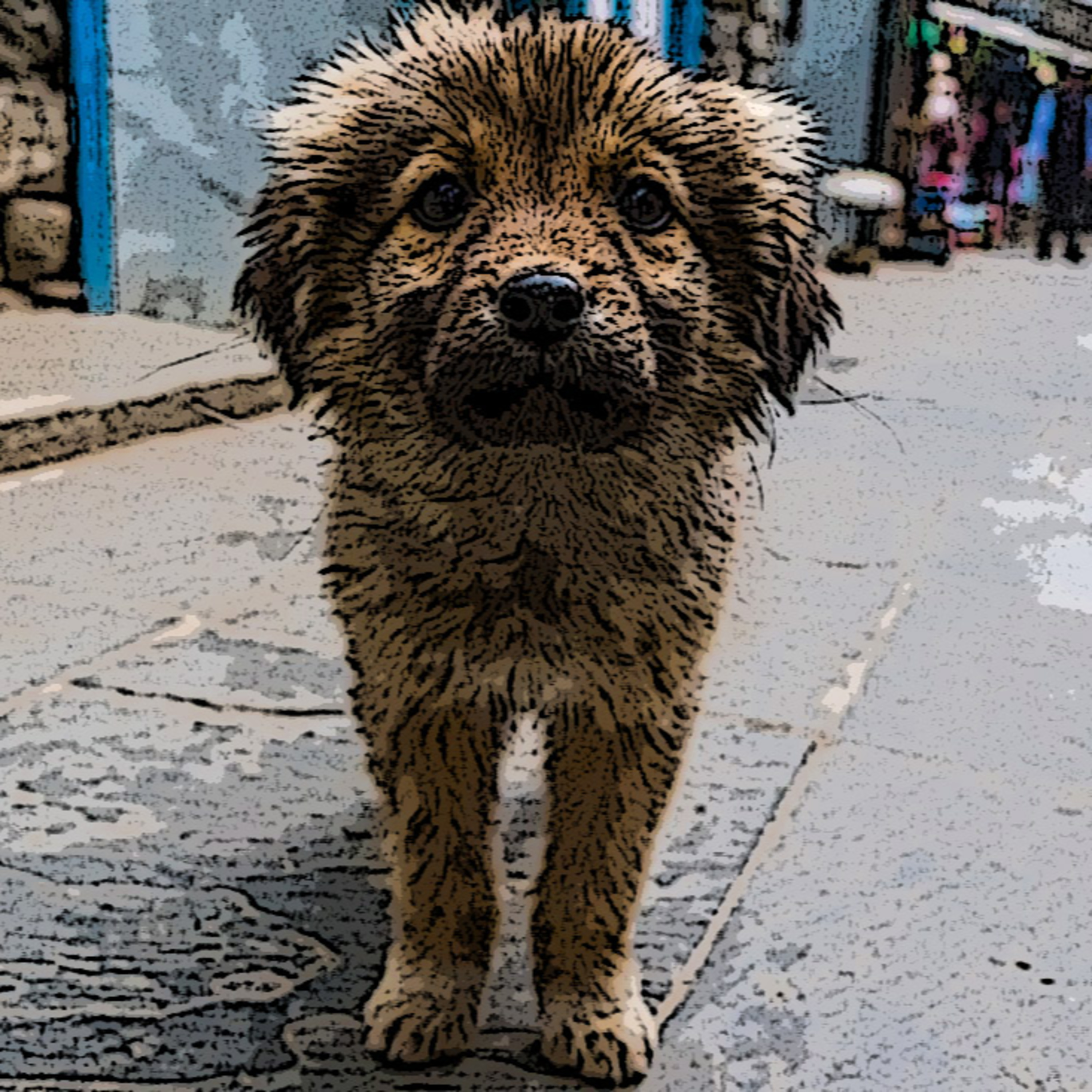 Qhubo Bogotá