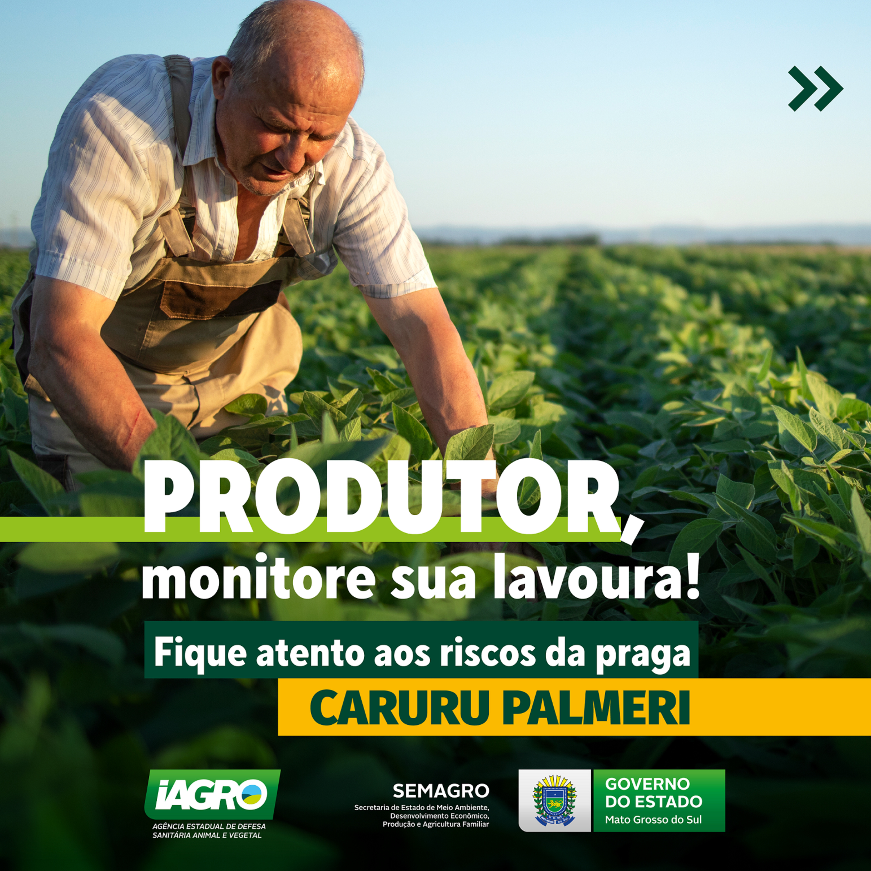 Iagrocast - O Podcast da Agência Estadual de Defesa Sanitária Animal e Vegetal - Iagro