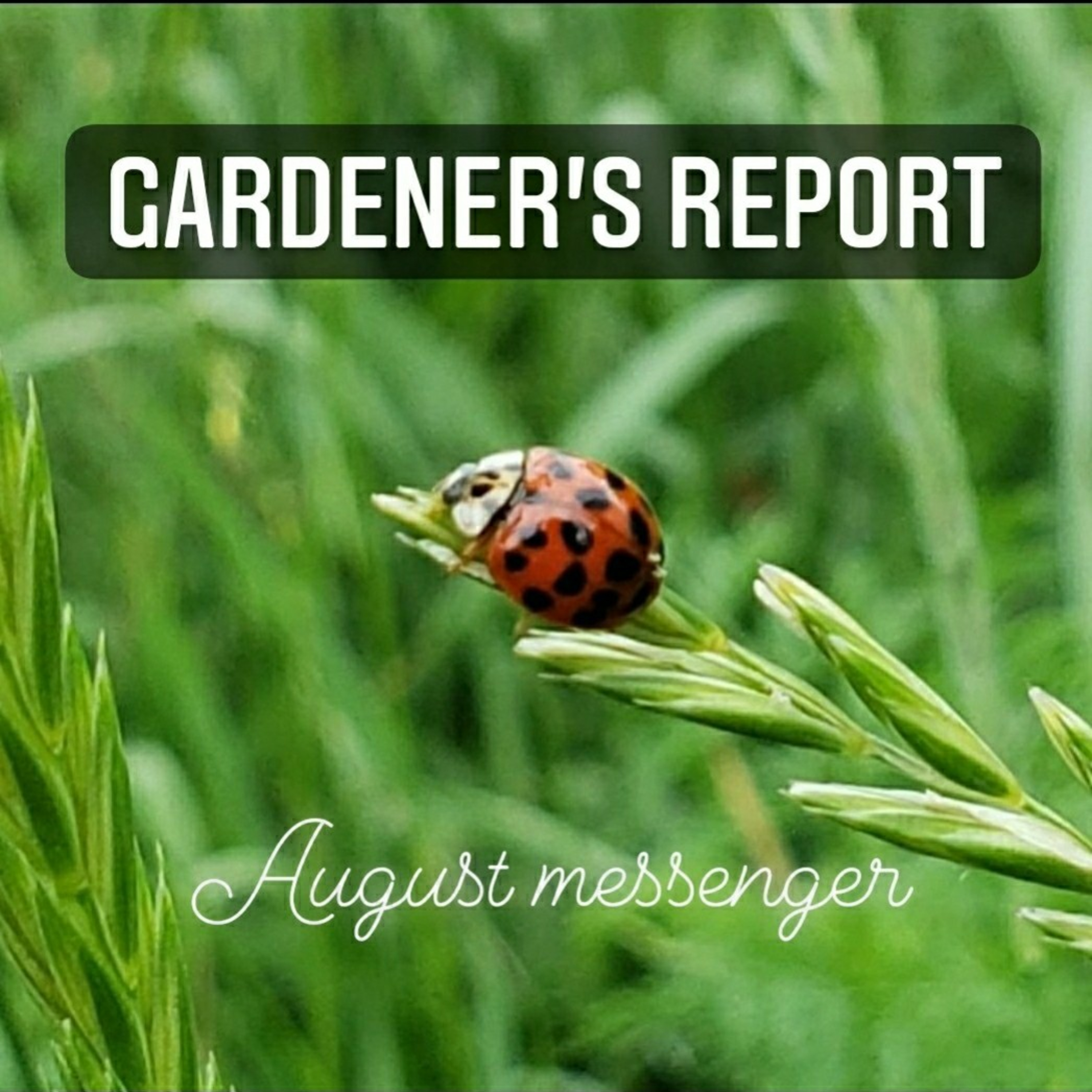 Gardener\'s Report