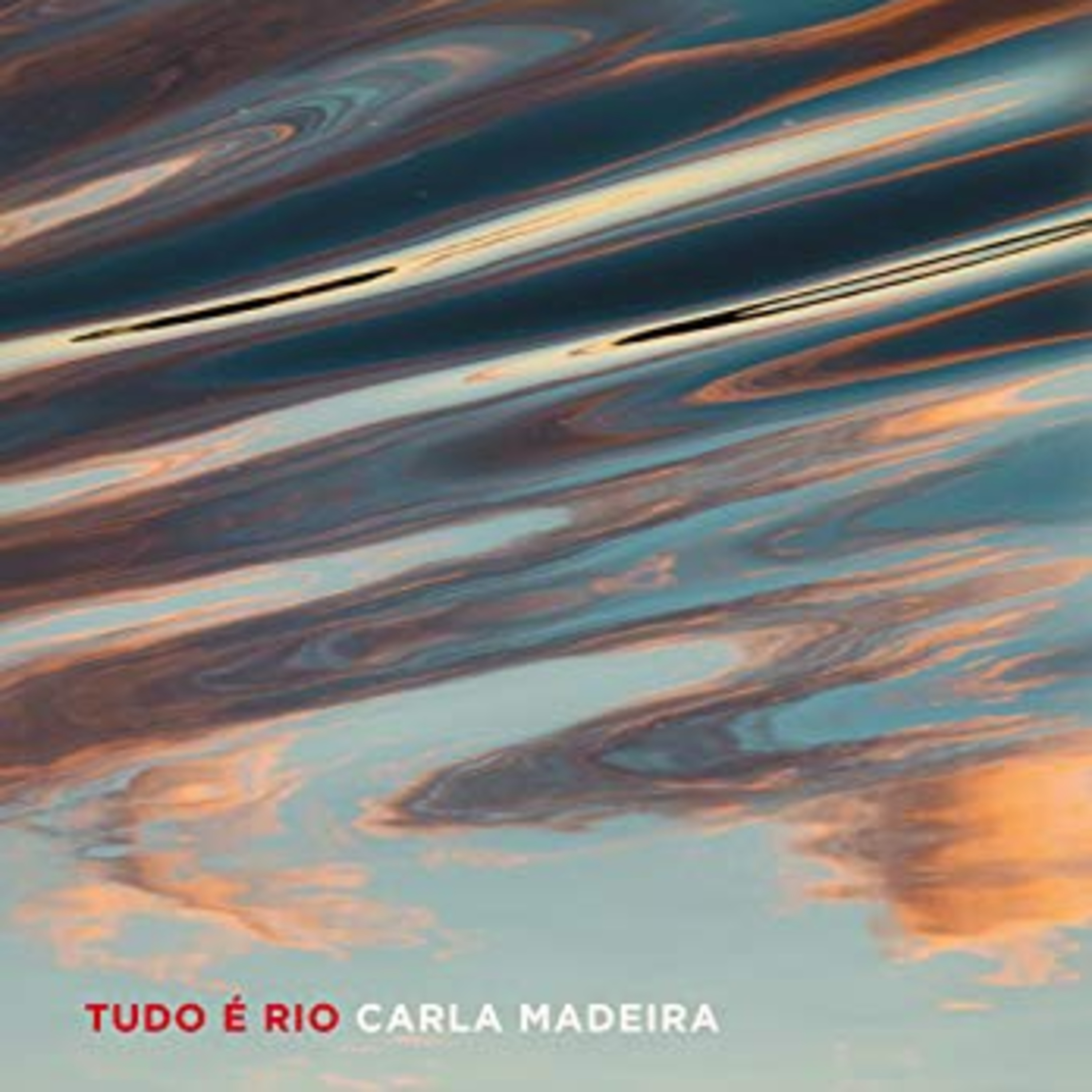 Tudo é rio - Carla Madeira - Resenha episode artwork