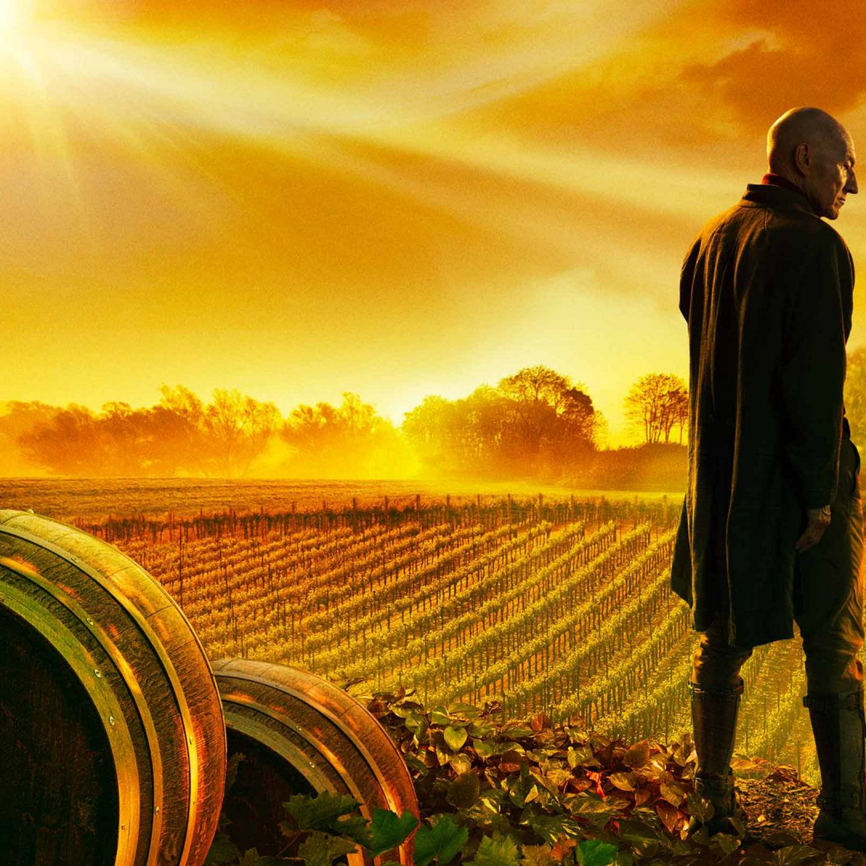 Star Trek: Picard (2020– ) - Crítica episode artwork