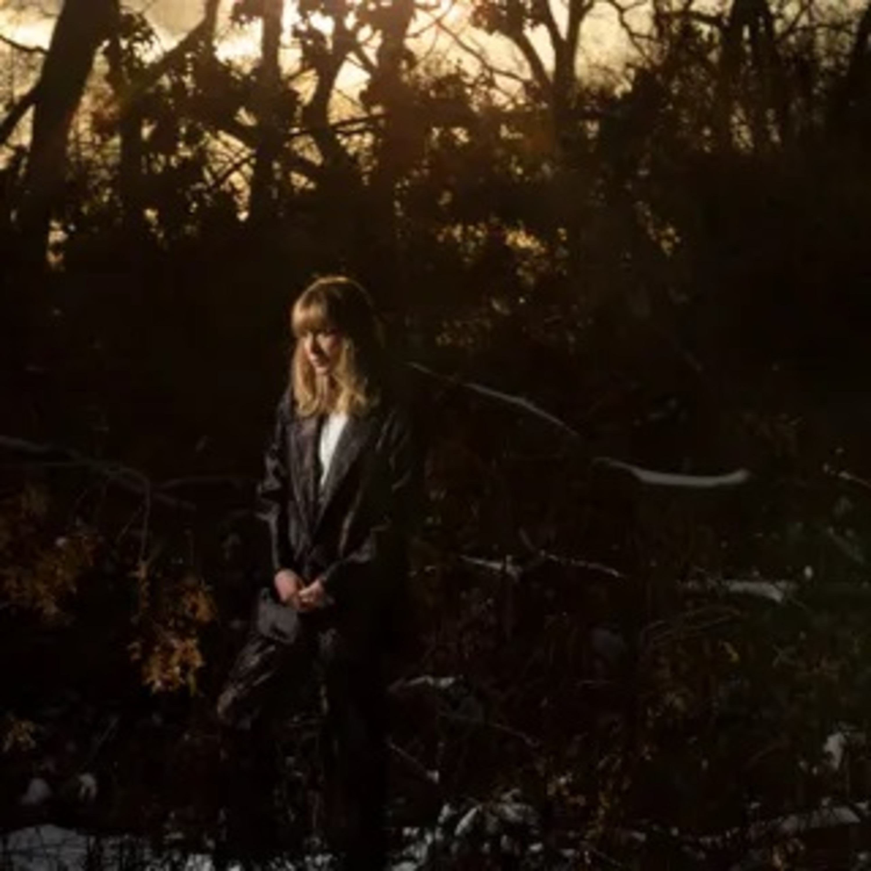 How Is It That I Should Look at the Stars - The Weather Station - Crítica episode artwork