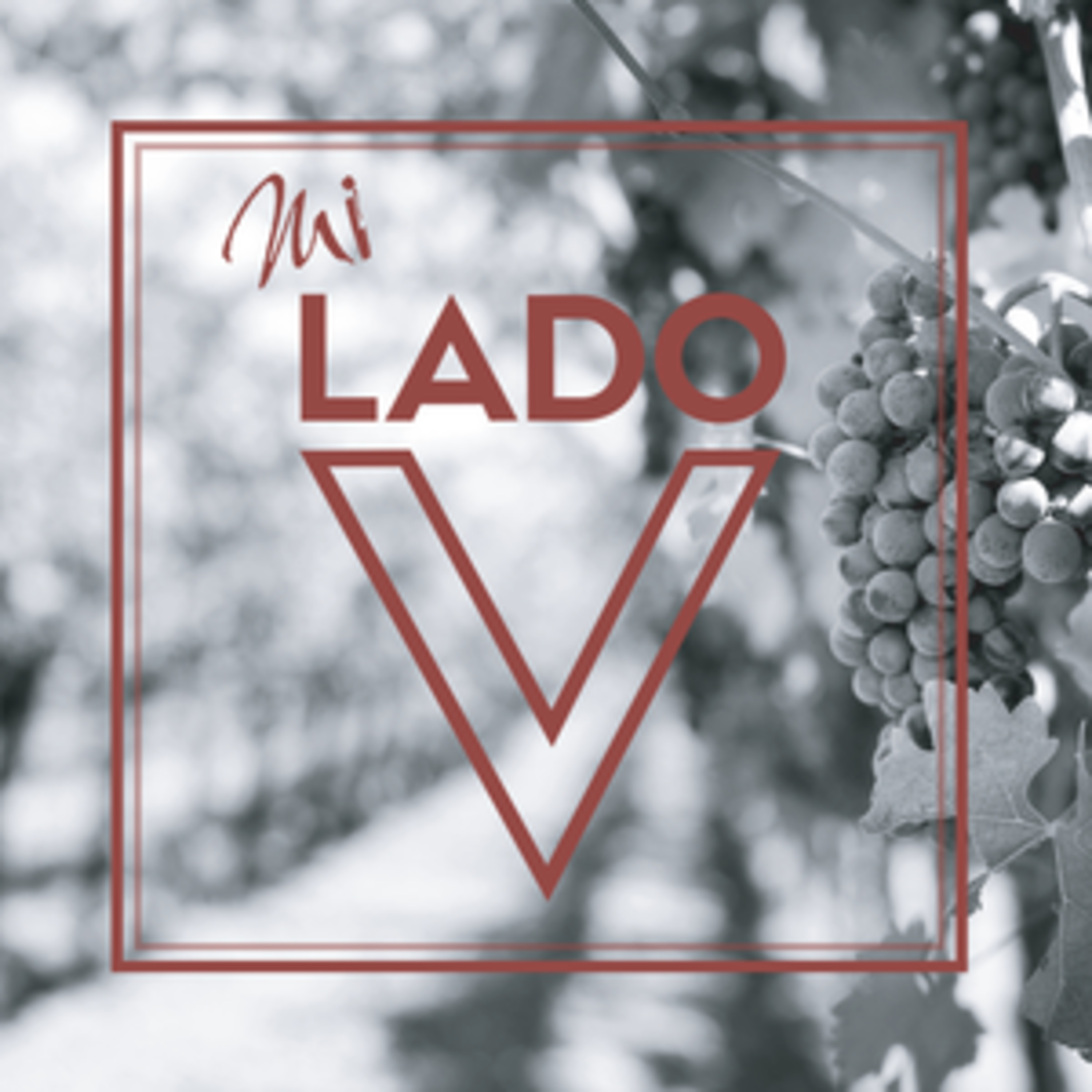 Mi Lado V - Entrevista a Sebastian García - Bartender de Presidente Bar