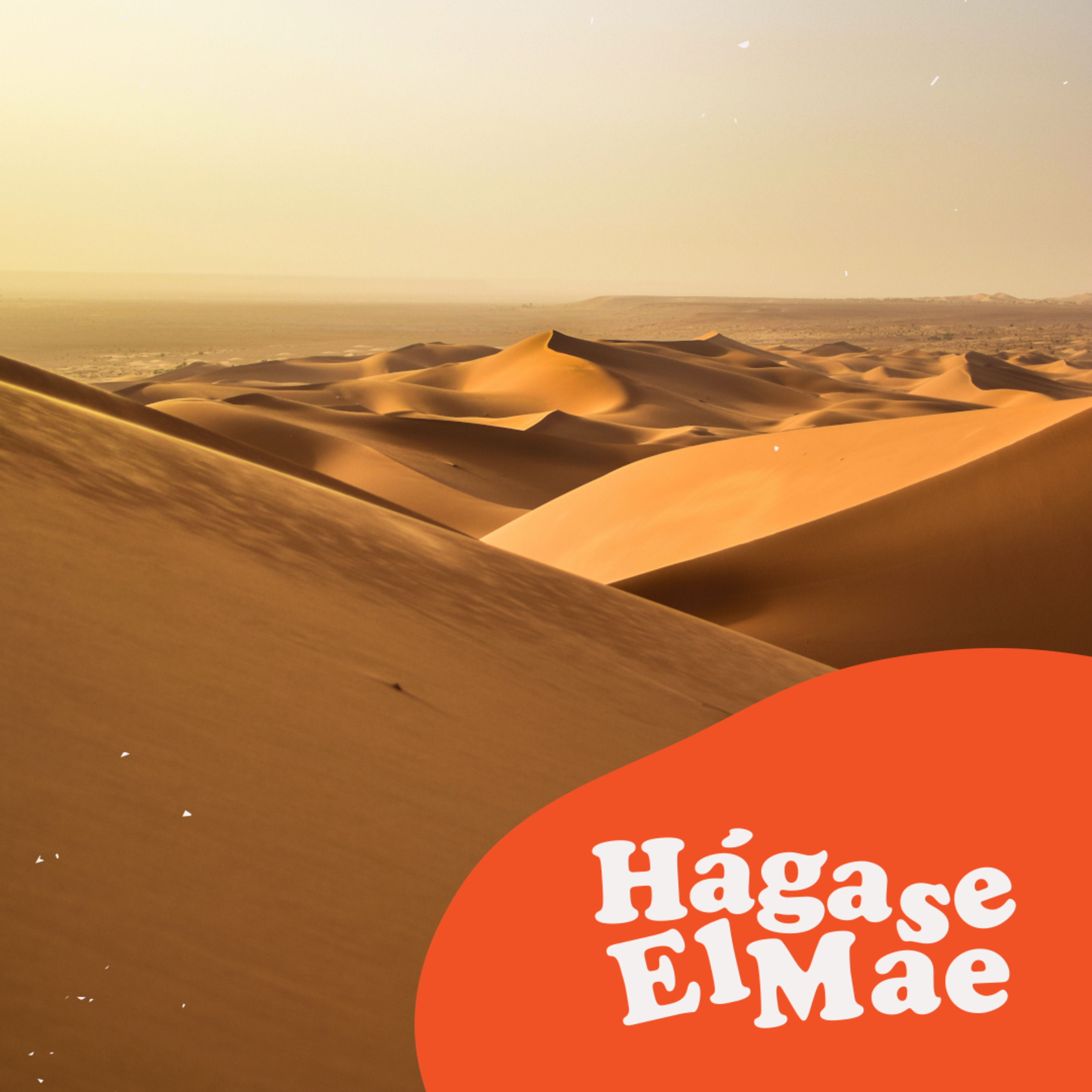 Hágase El Mae