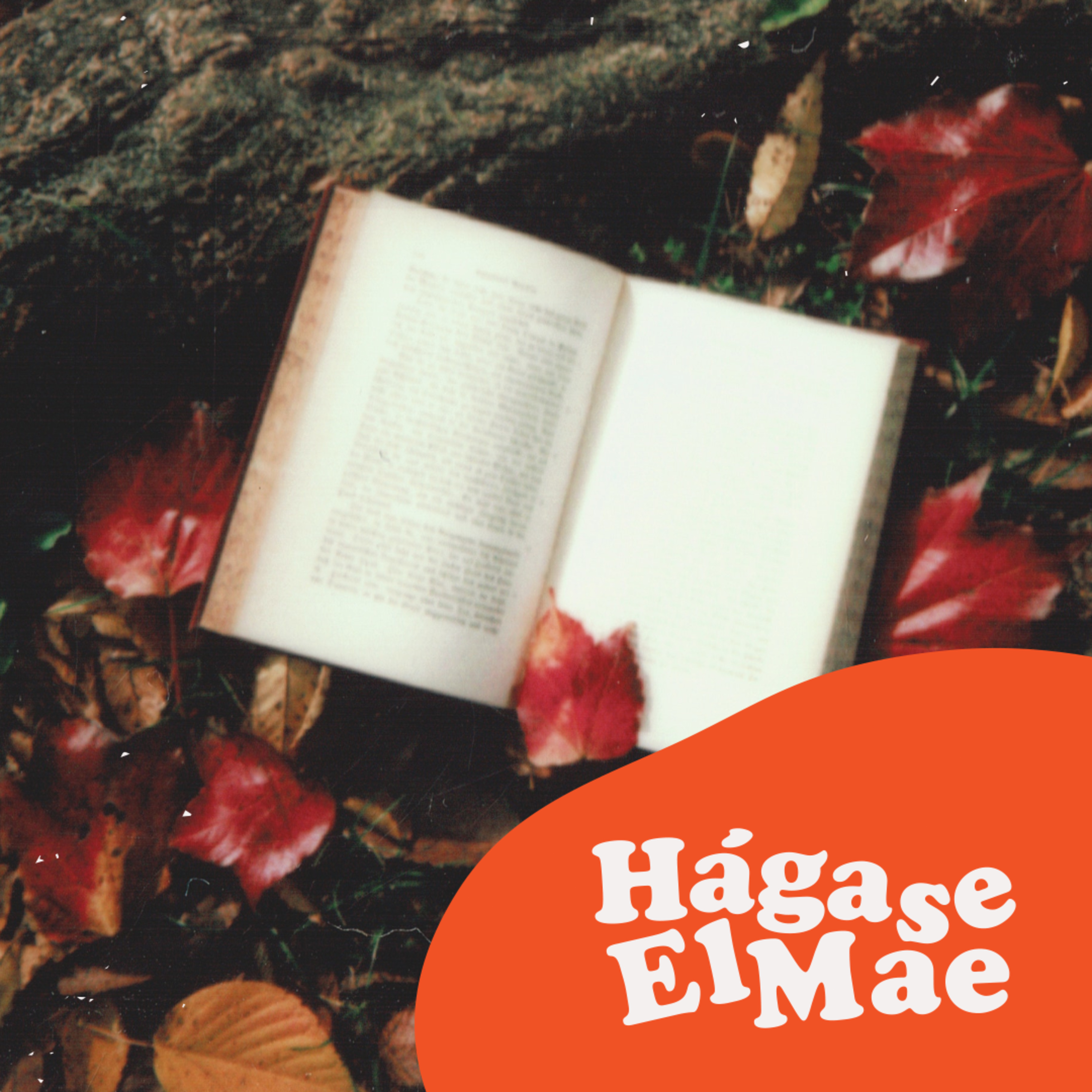 Hágase El Mae