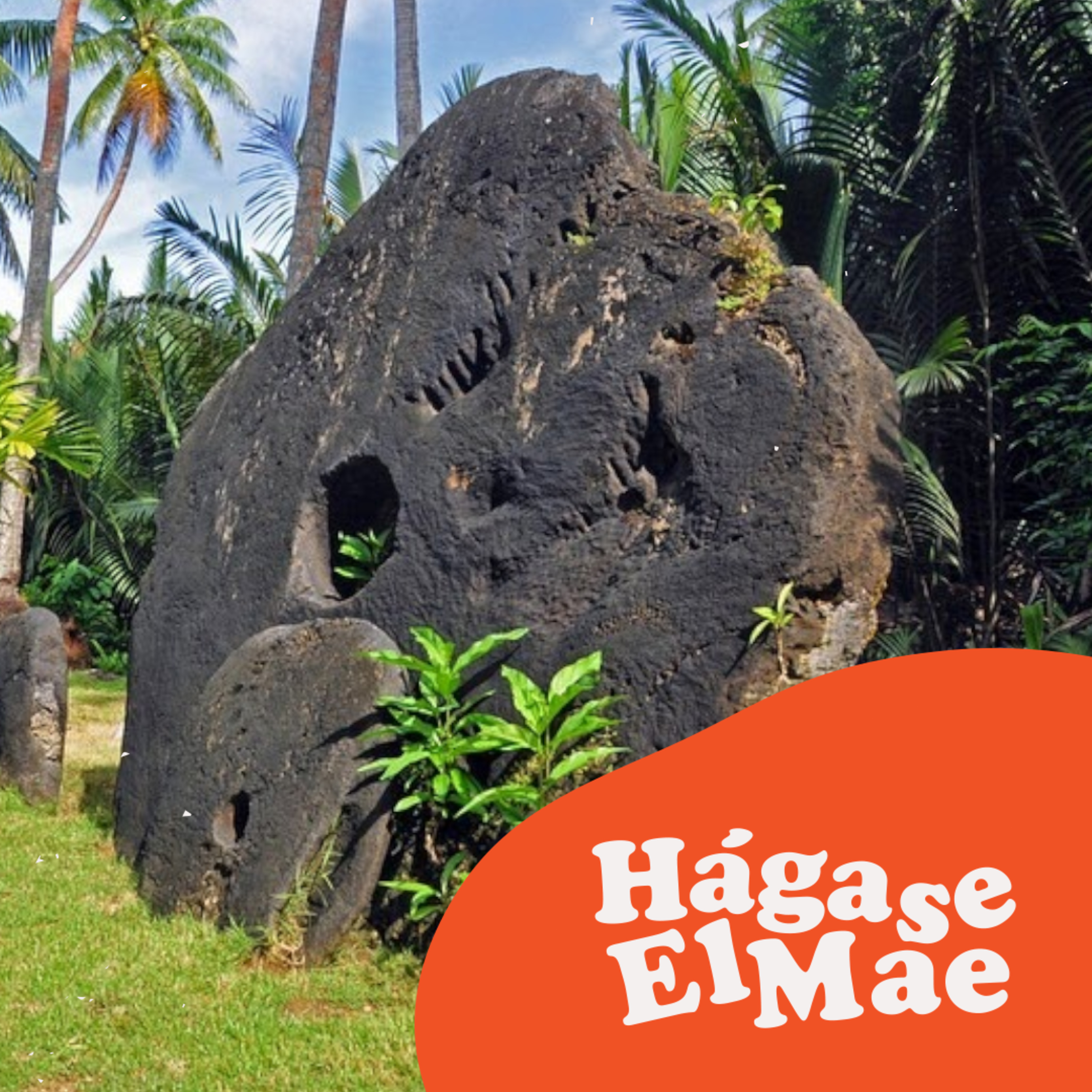 Hágase El Mae
