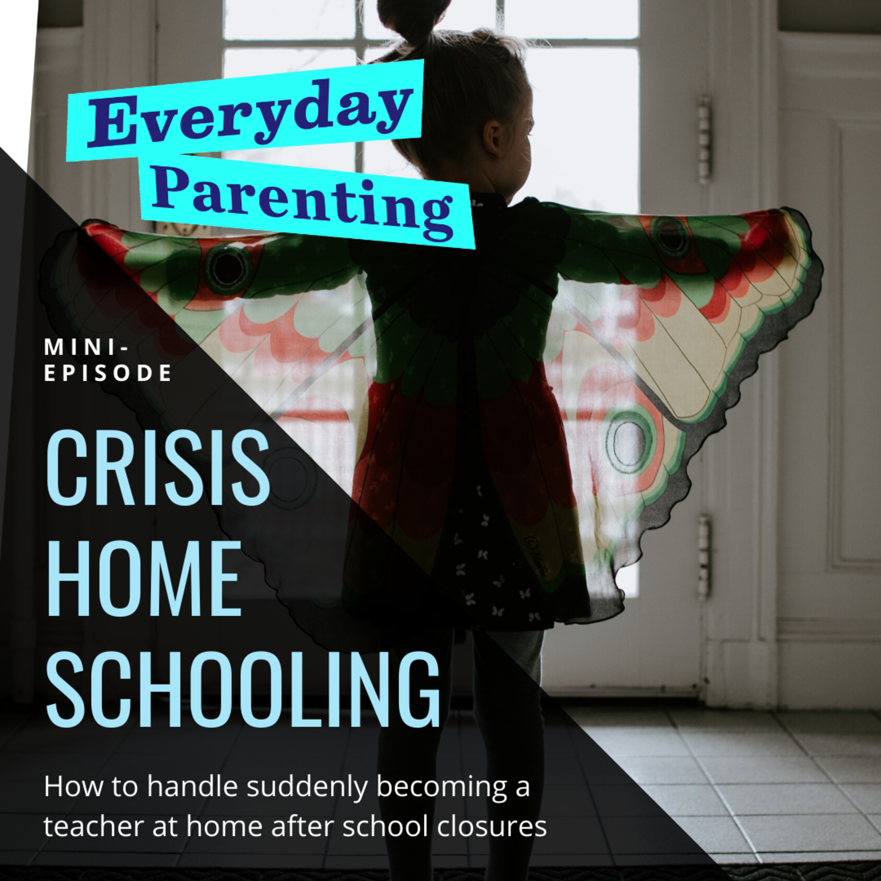 Crisis Homeschooling