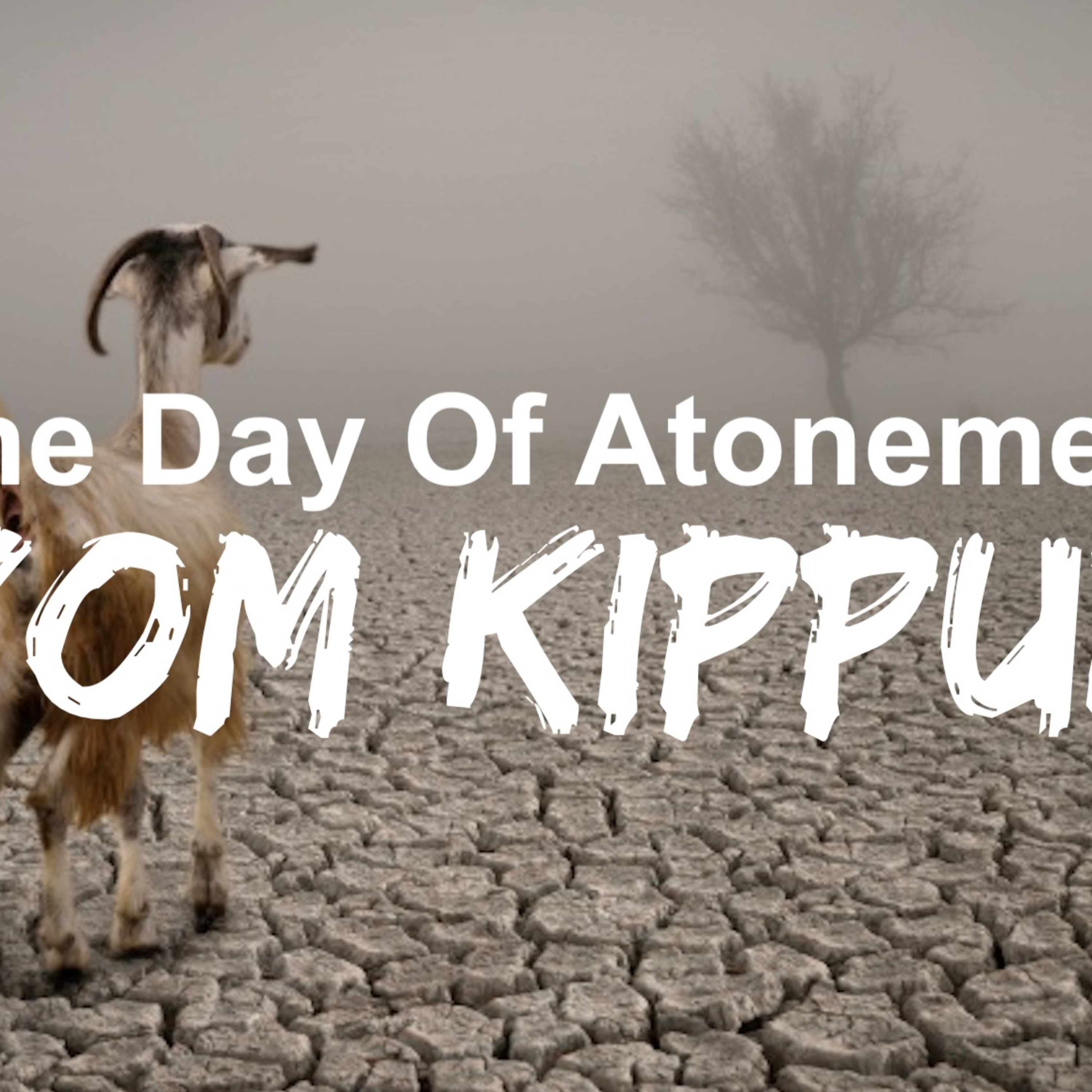 10.6.19, The Jewish Day Of Atonement: Yom Kippur, Leviticus 16 (Kirk Gliebe) episode artwork