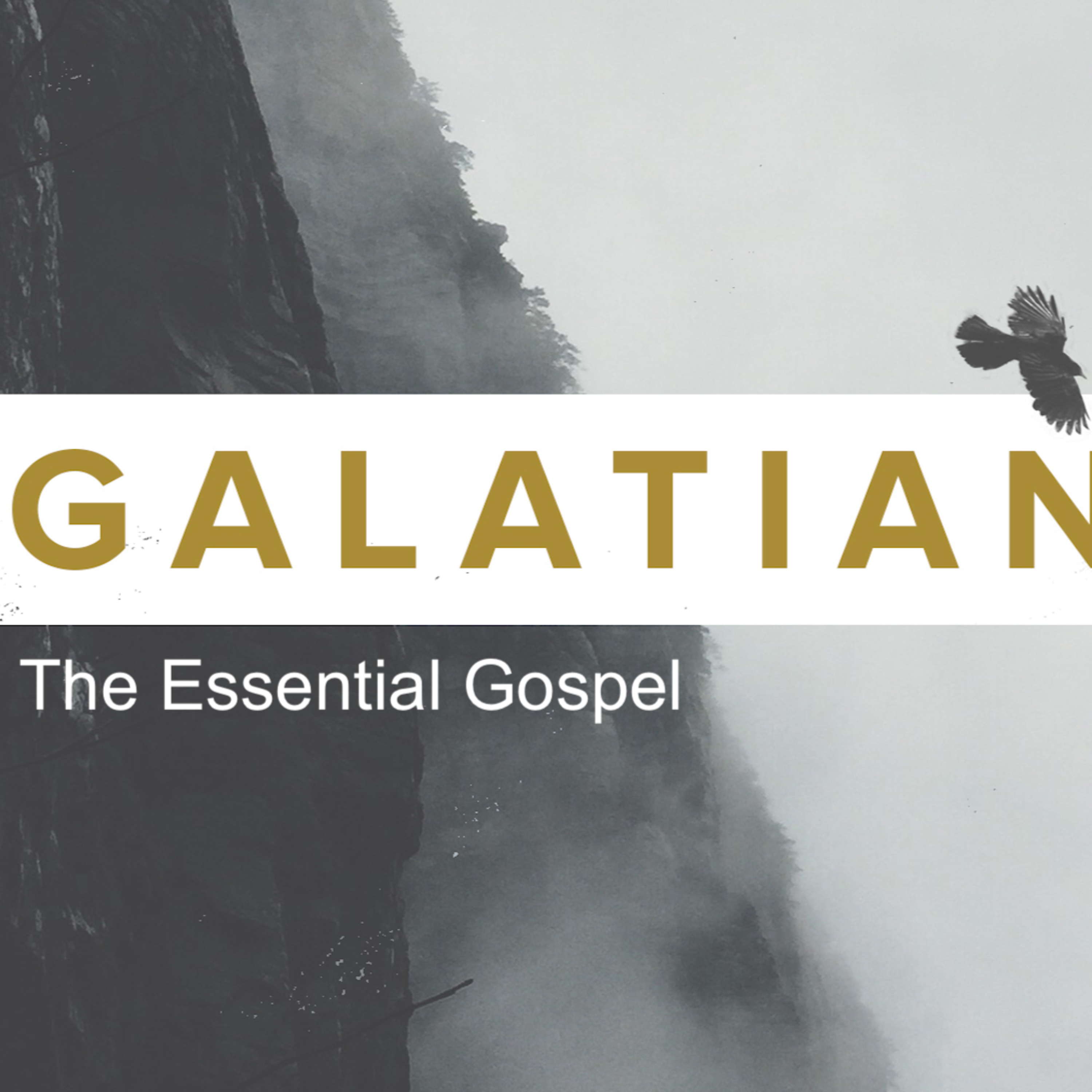 3.13.22, Only One Gospel, Galatians 1:6-9 episode artwork