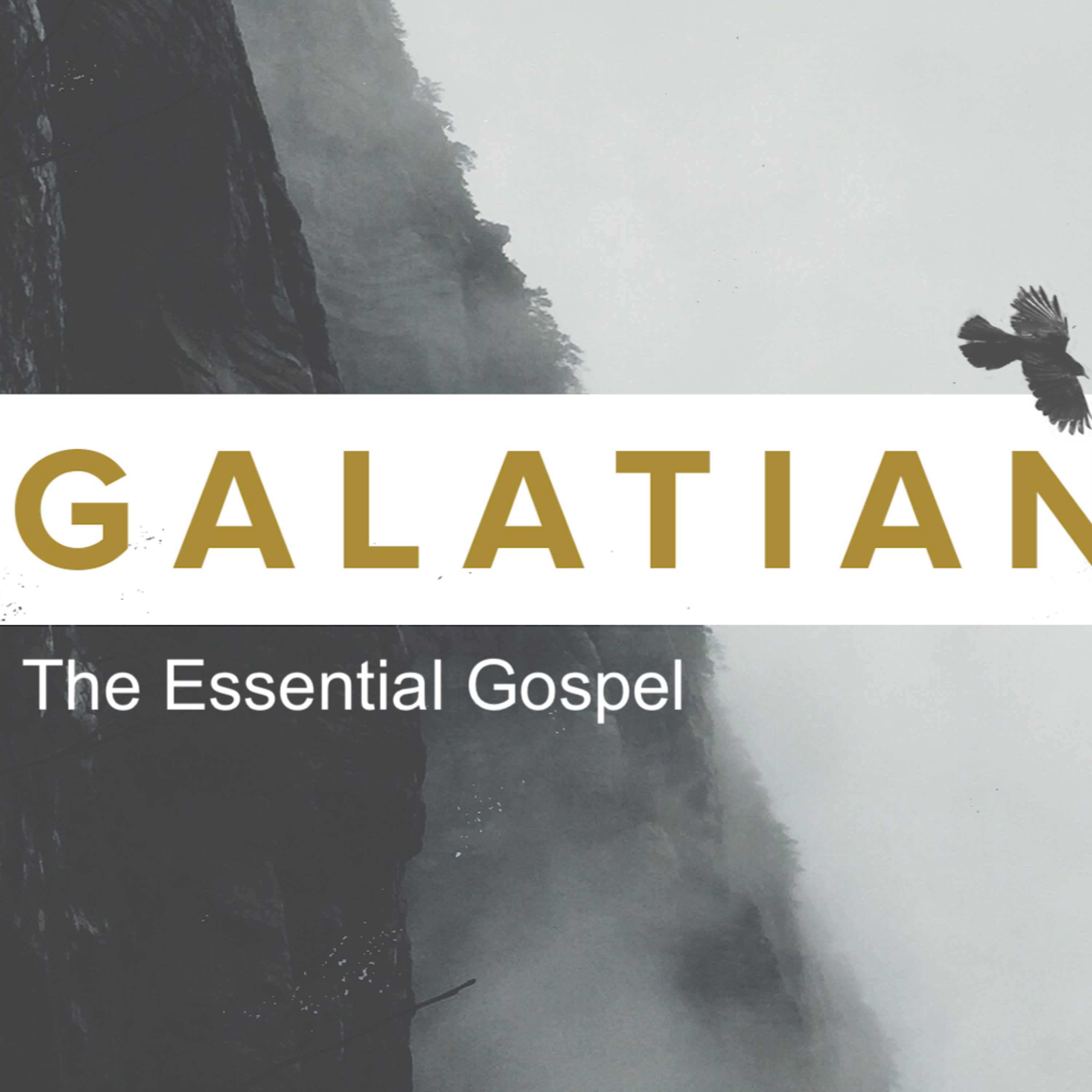 4.3.22, Persisting In The Gospel Ministry, Galatians 2:1-10 episode artwork