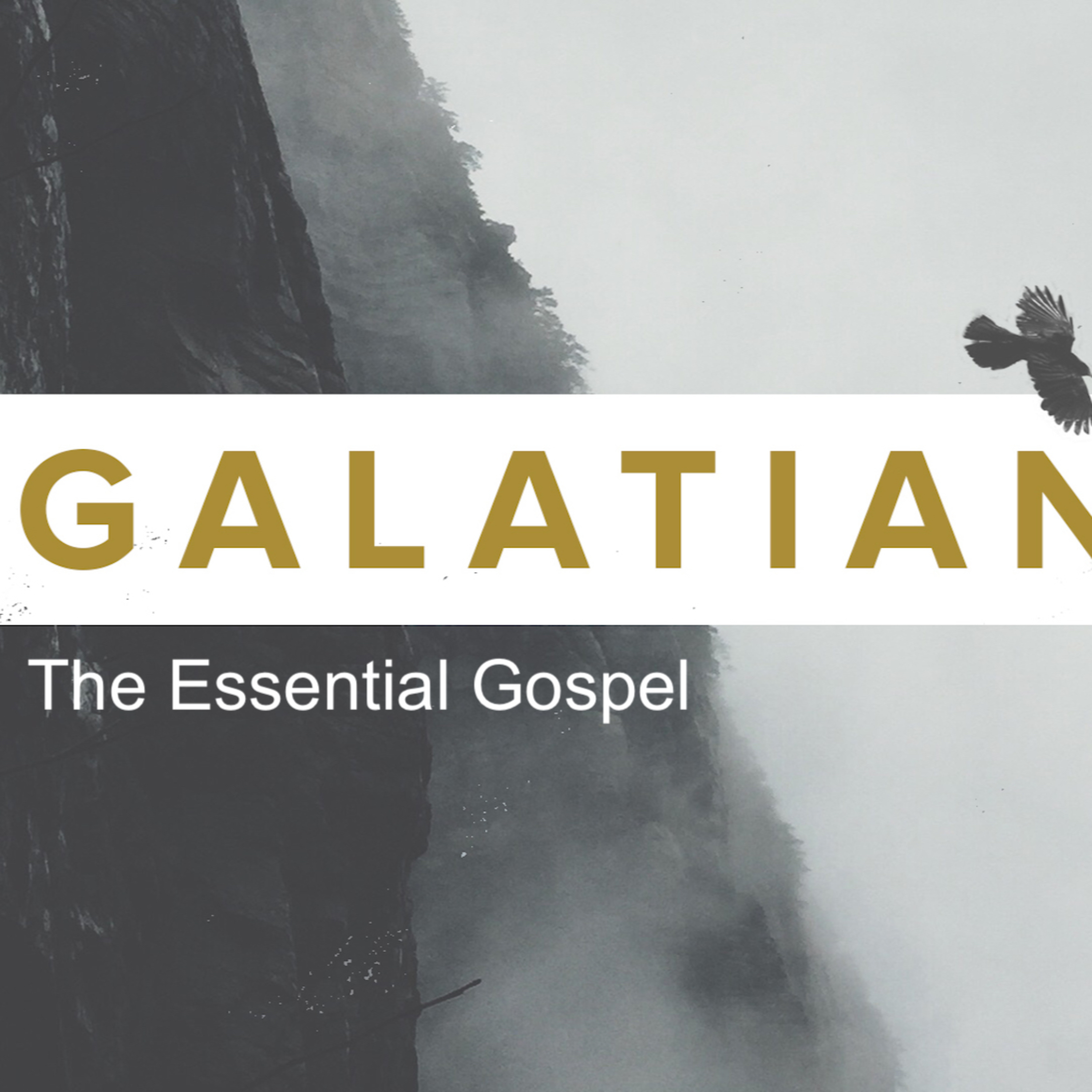 4.24.22, The Hope Of The Gospel, Galatians 2:15-21 episode artwork