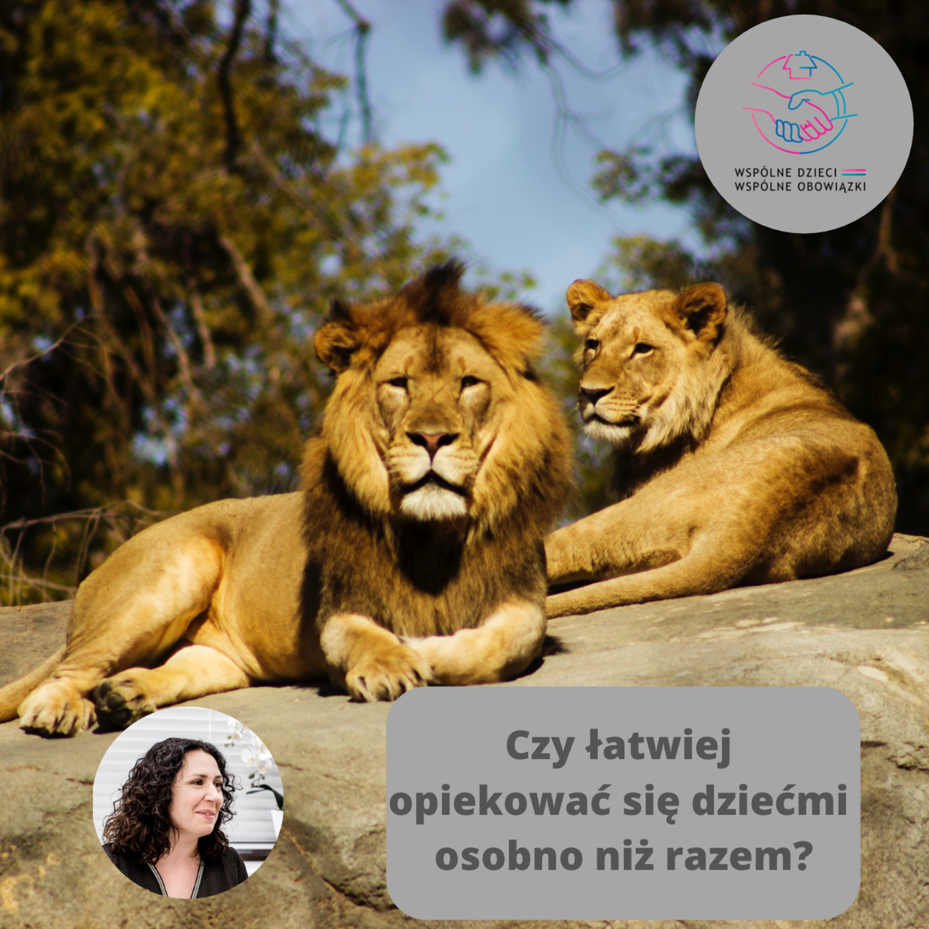 #TeamRodzina - rozmowy o partnerstwie
