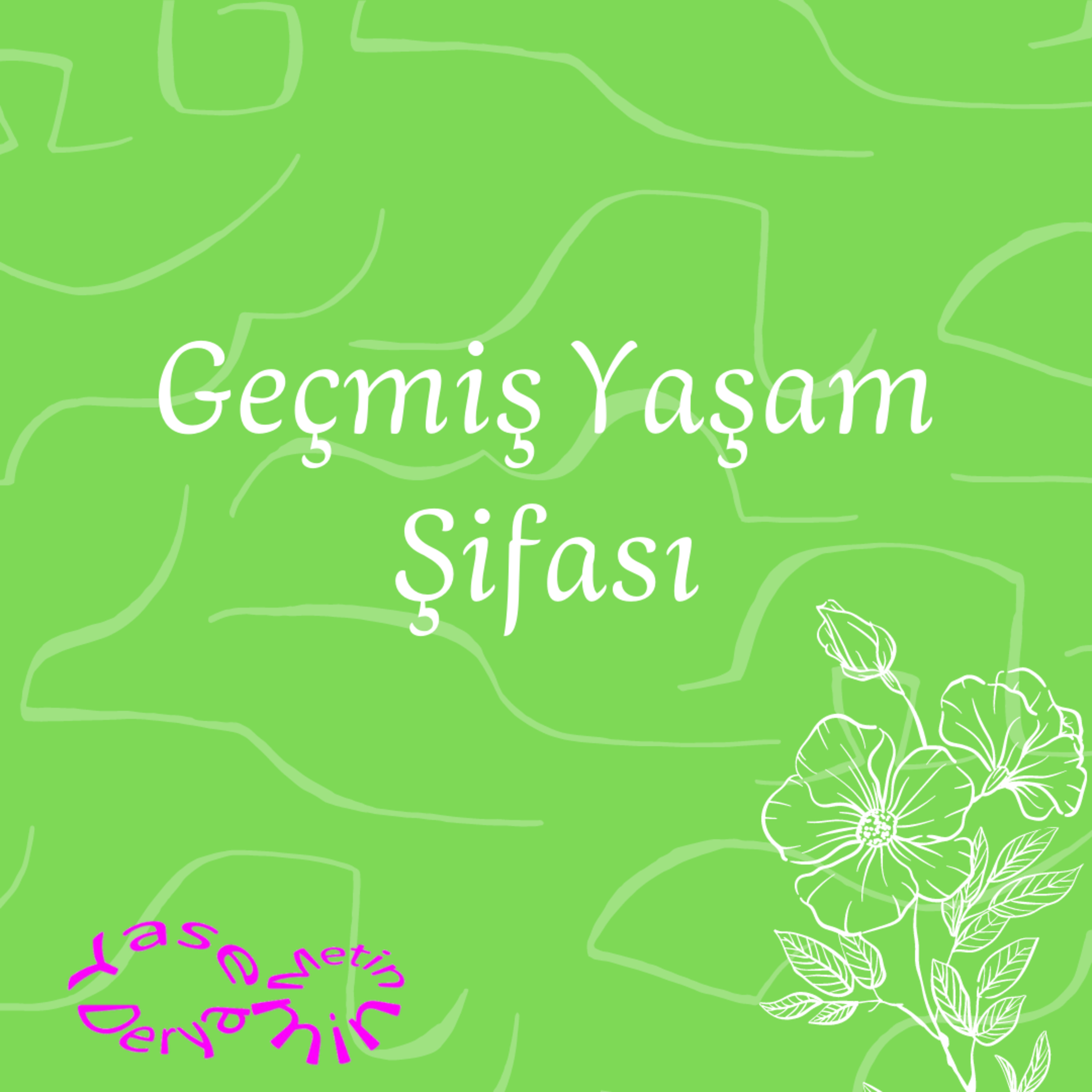 Geçmiş Yaşam Çalışması episode artwork