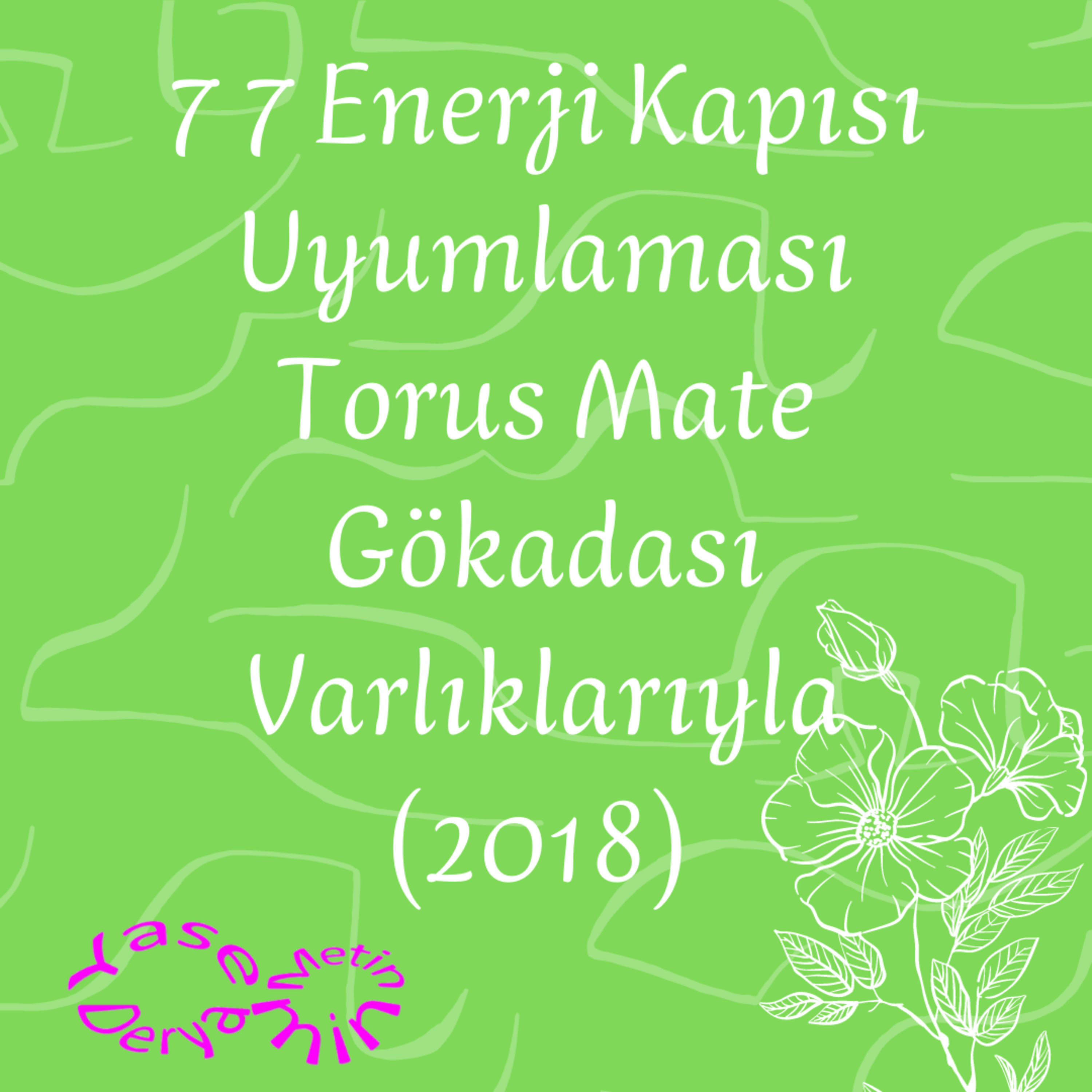 7 7 Enerji Kapısı Uyumlaması Torus Mate Gökadası Varlıklarıyla (2018)  episode artwork