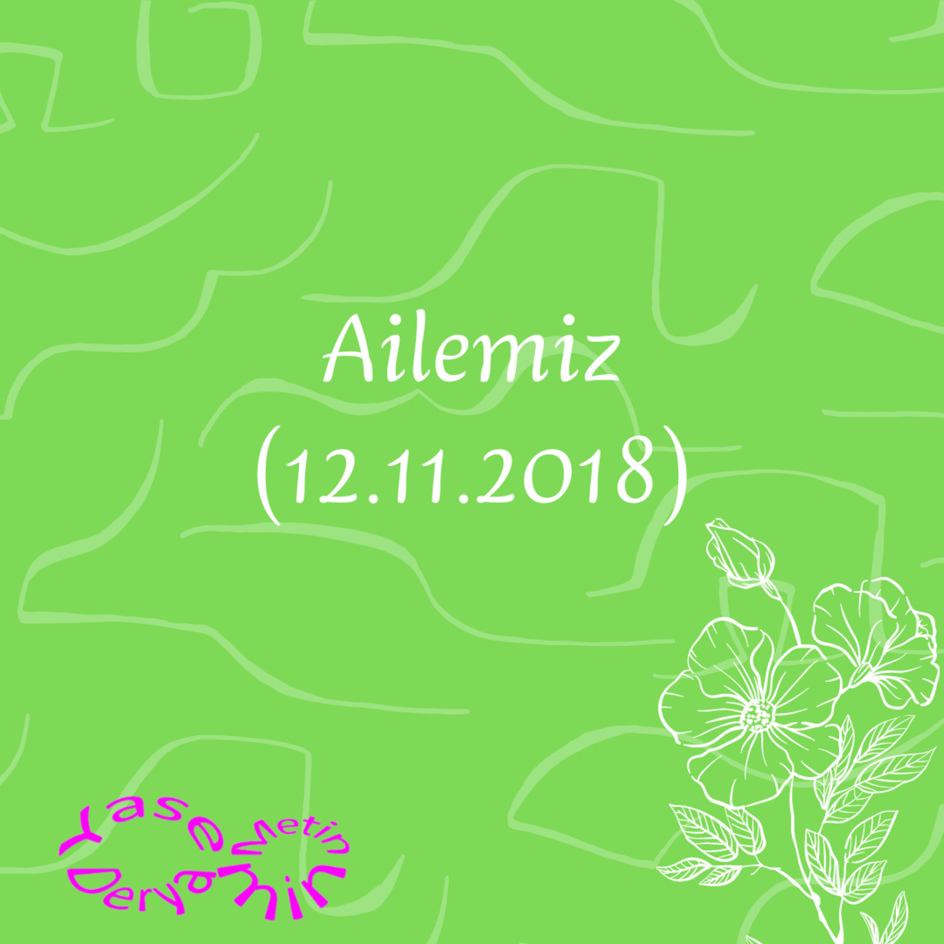 Ailemiz (12.11.2018) episode artwork