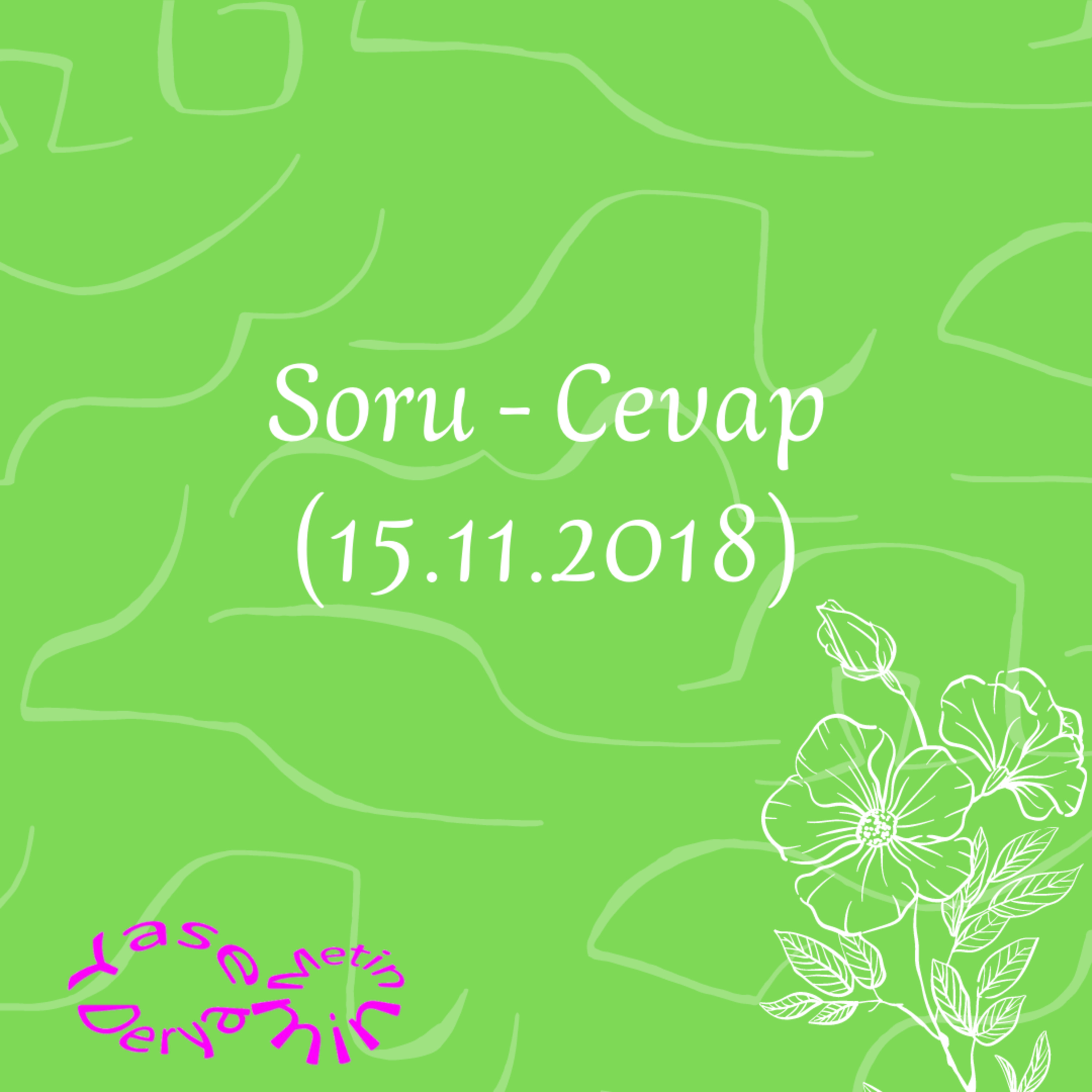Soru - Cevap (15.11.2018) episode artwork