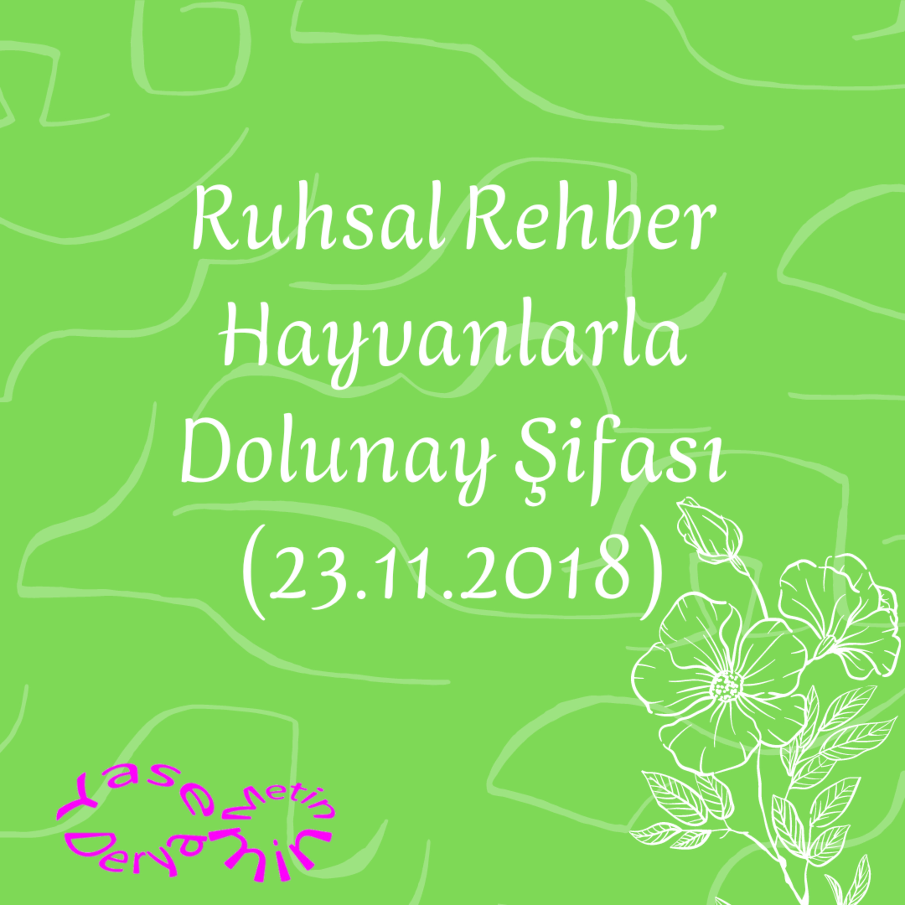 Ruhsal Rehber Hayvanlarla Dolunay Şifası (23.11.2018) episode artwork