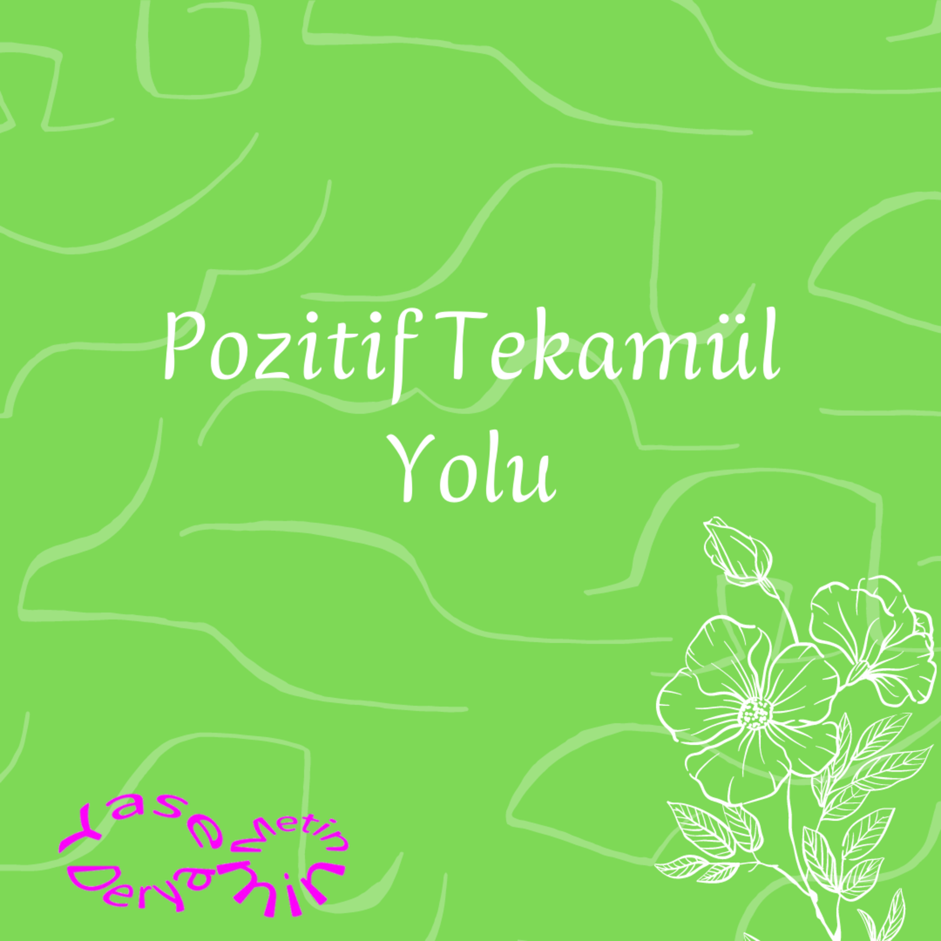 Pozitif Tekamül Yolu episode artwork