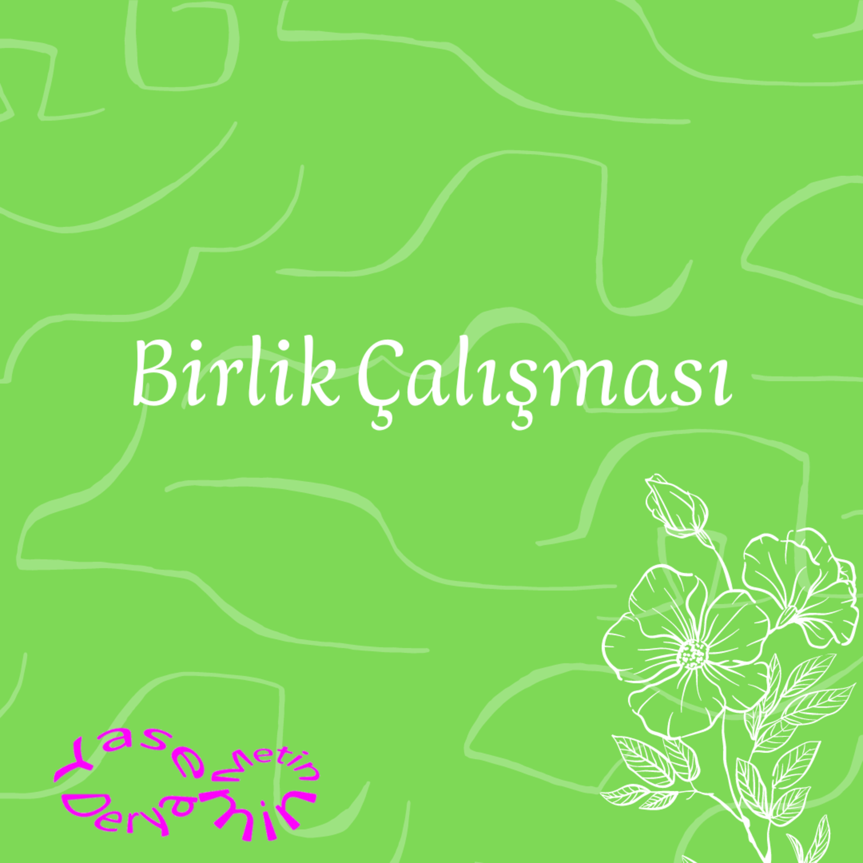 Birlik Çalışması episode artwork