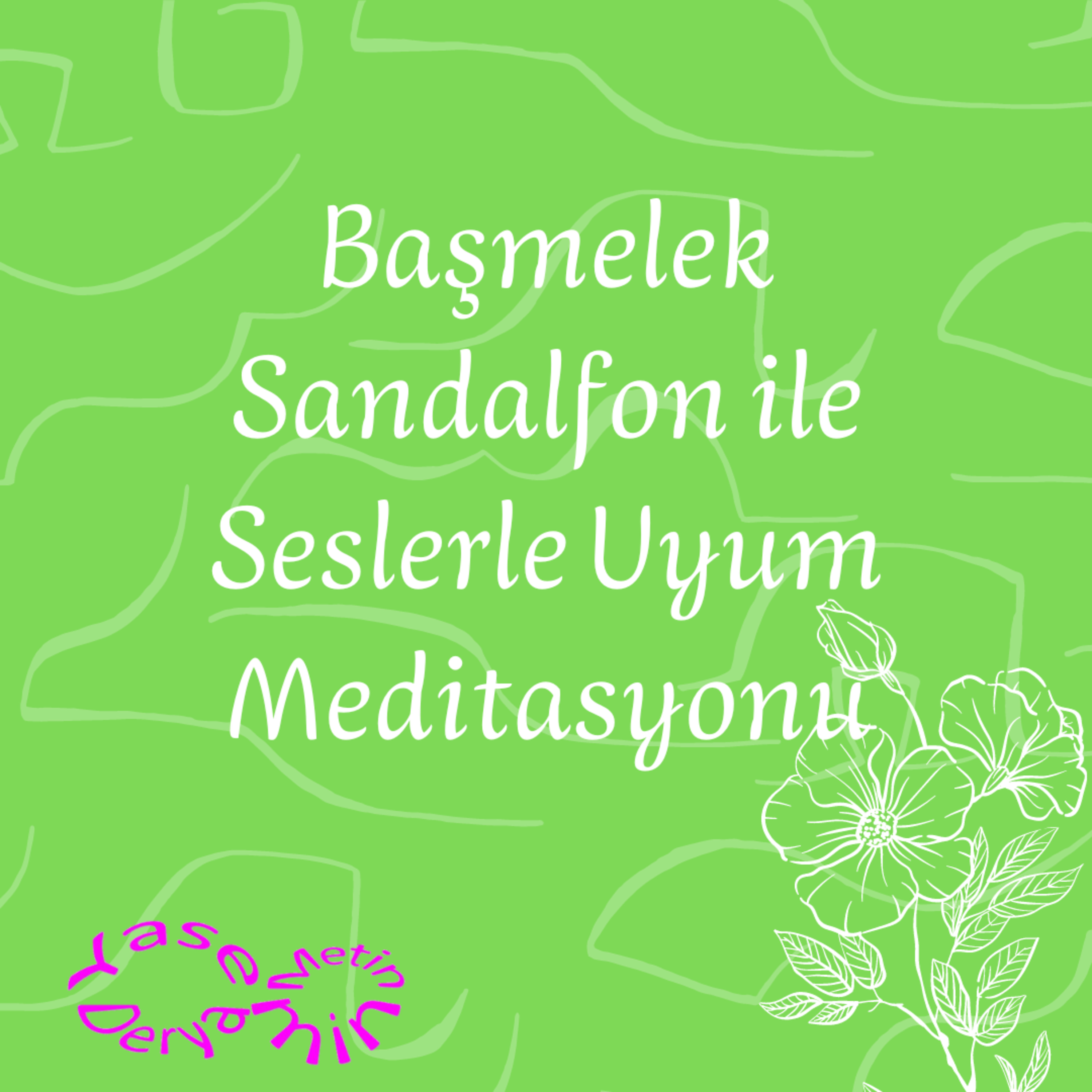 Yasemin Derya Metin