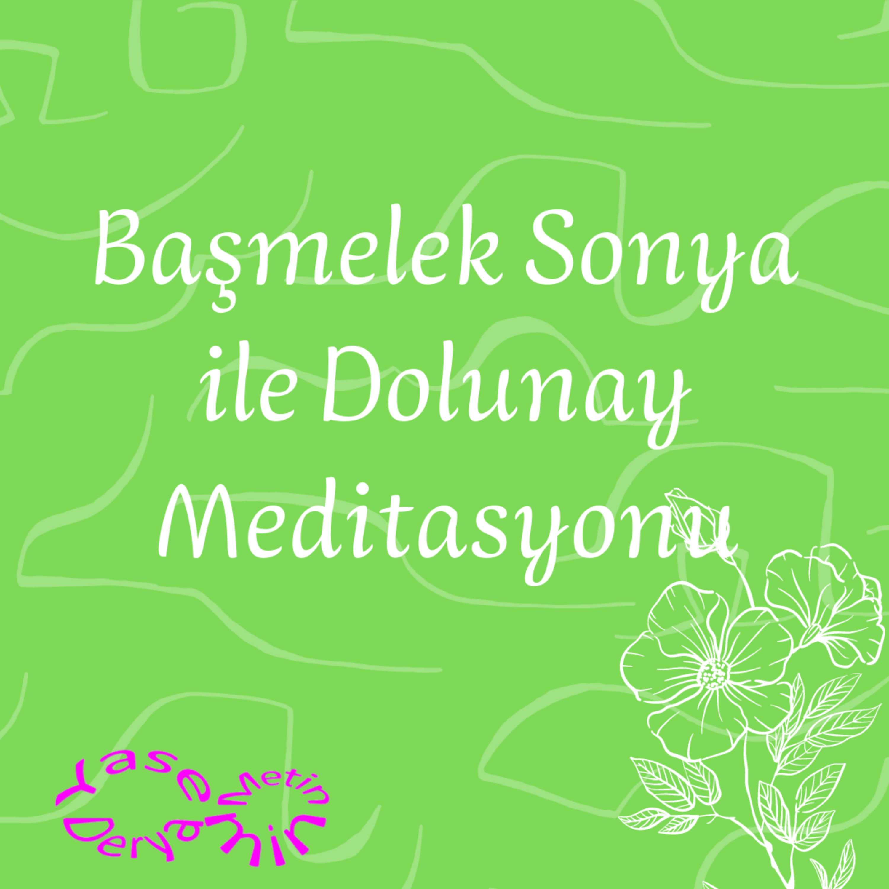 Yasemin Derya Metin