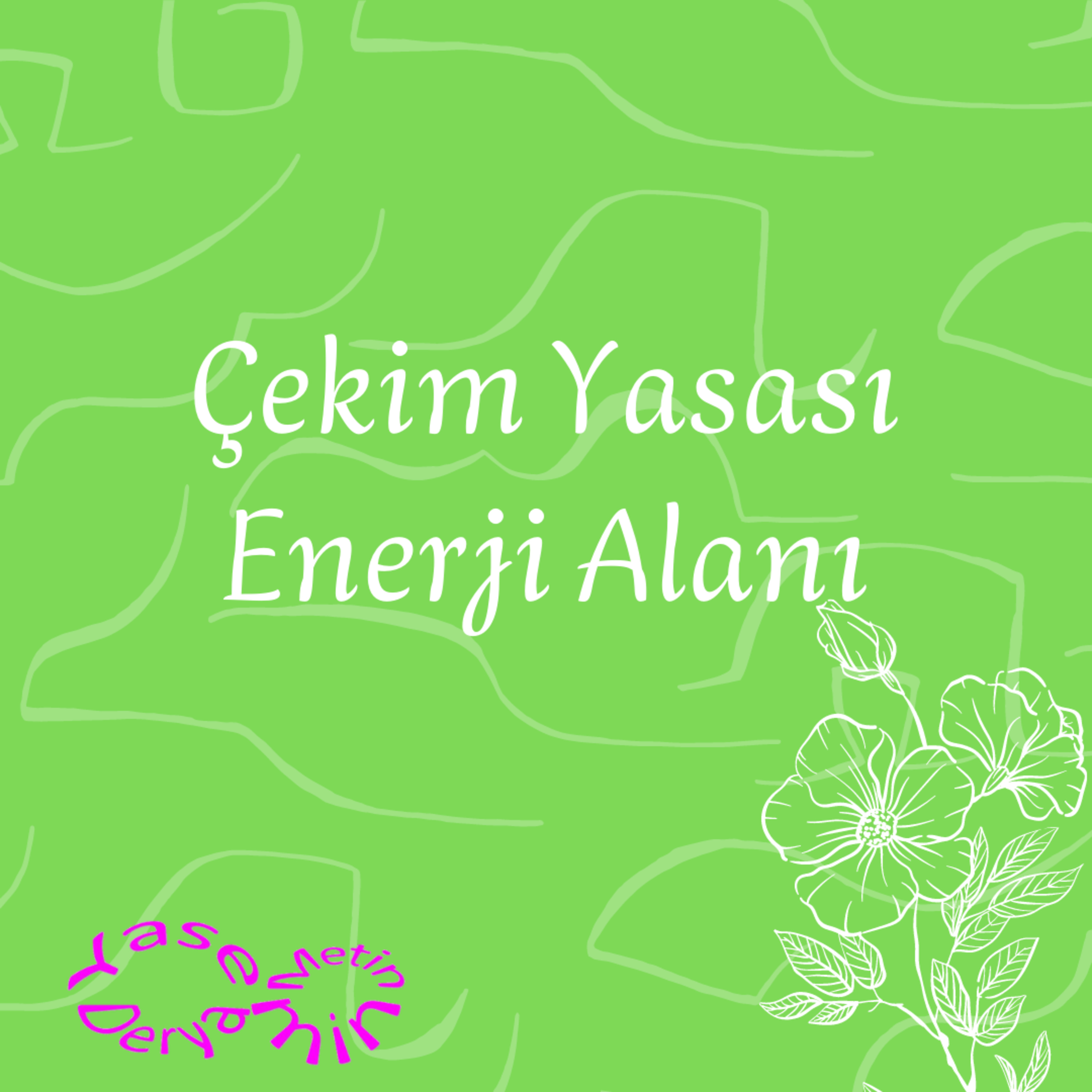 Yasemin Derya Metin