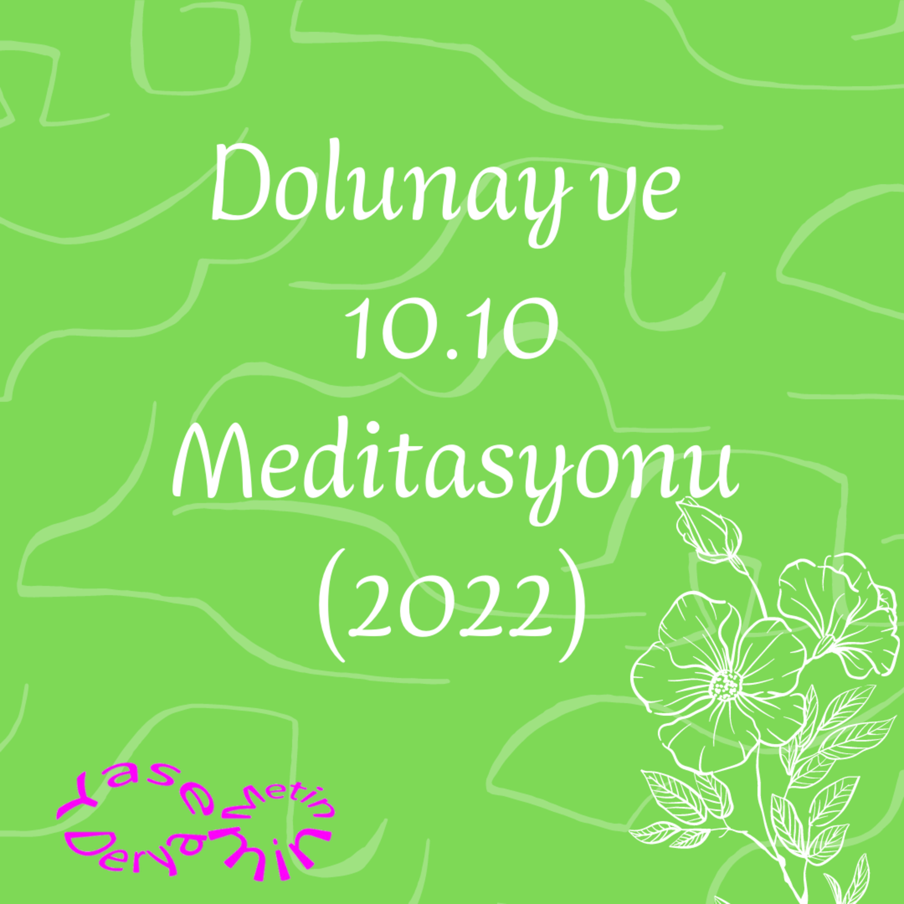 Yasemin Derya Metin