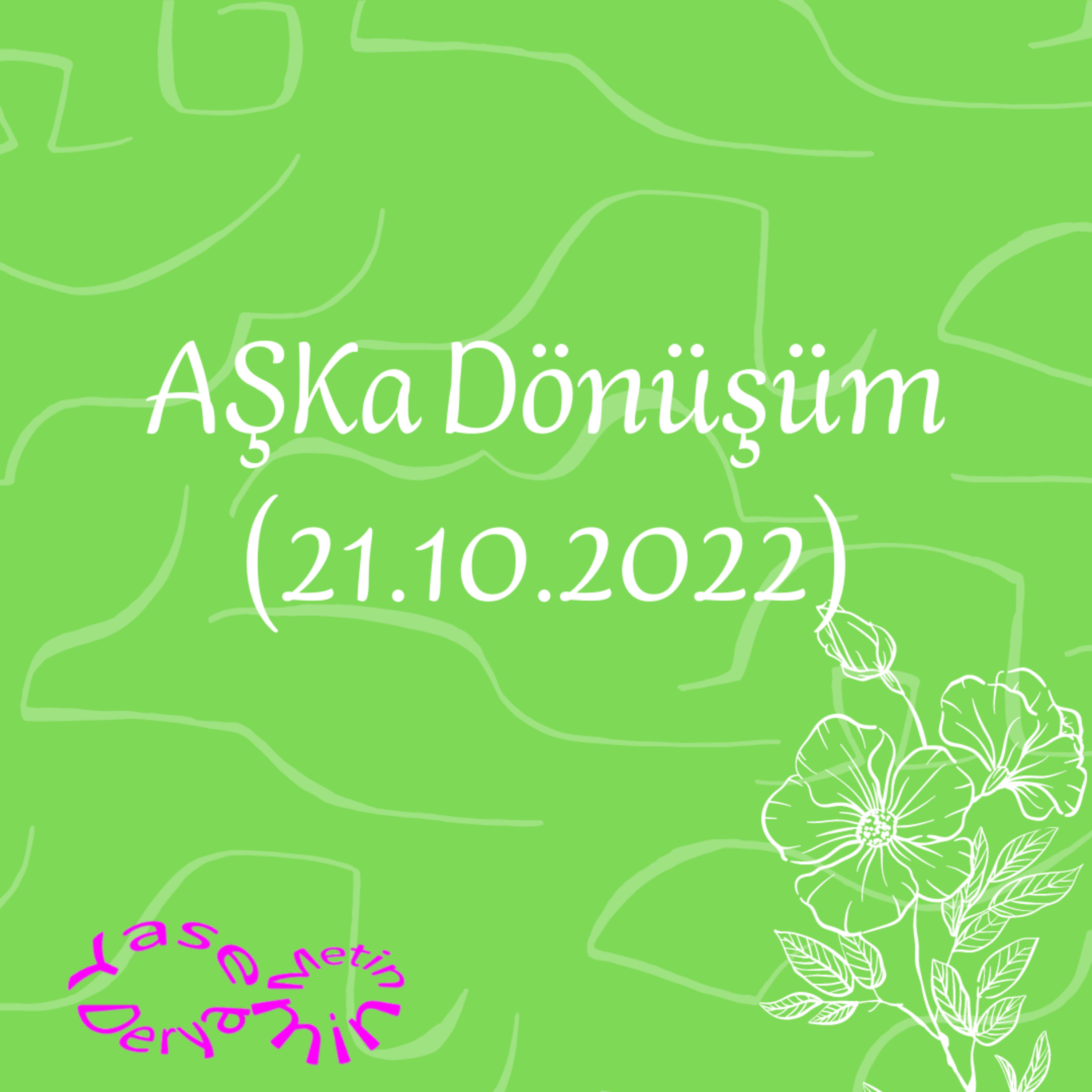Yasemin Derya Metin