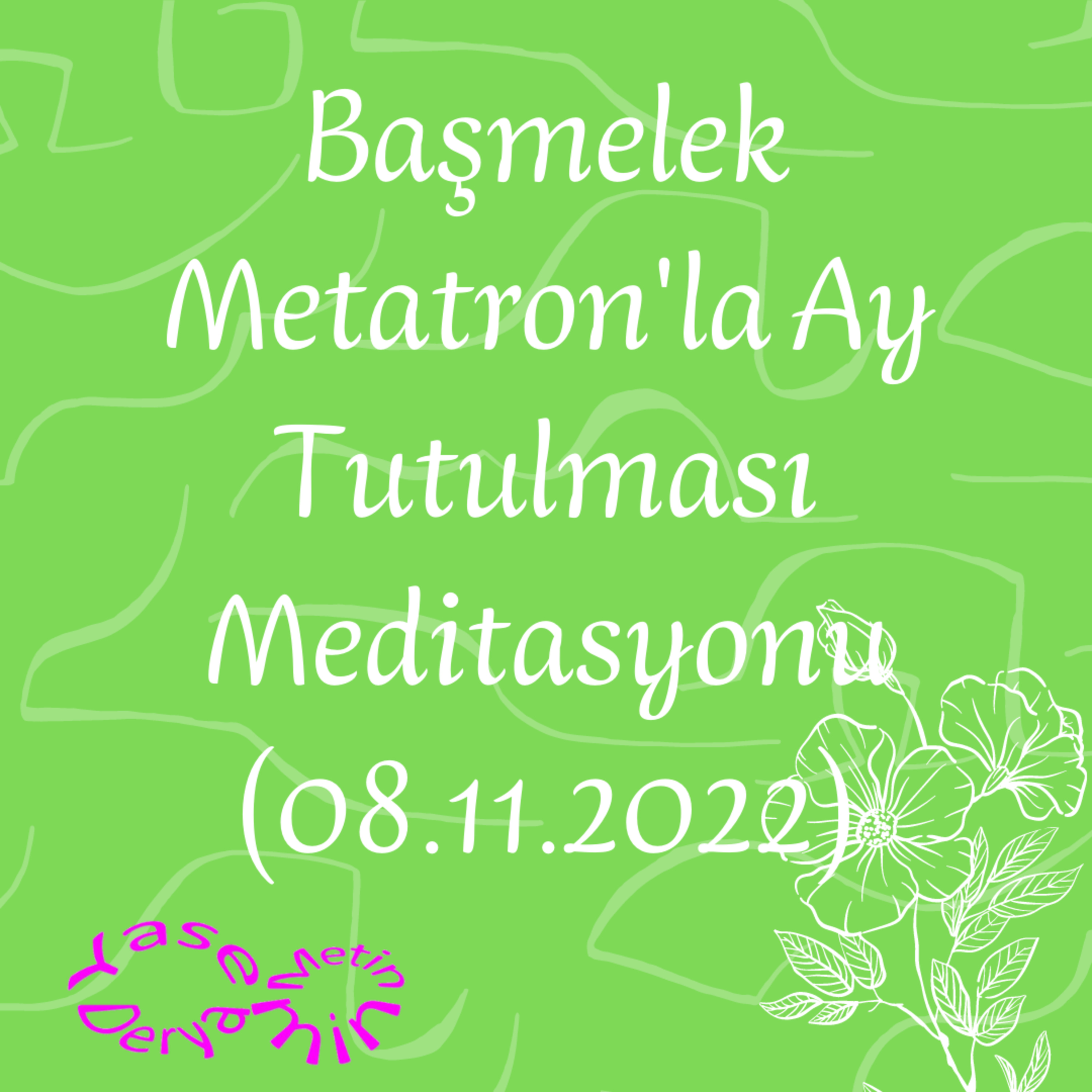 Yasemin Derya Metin
